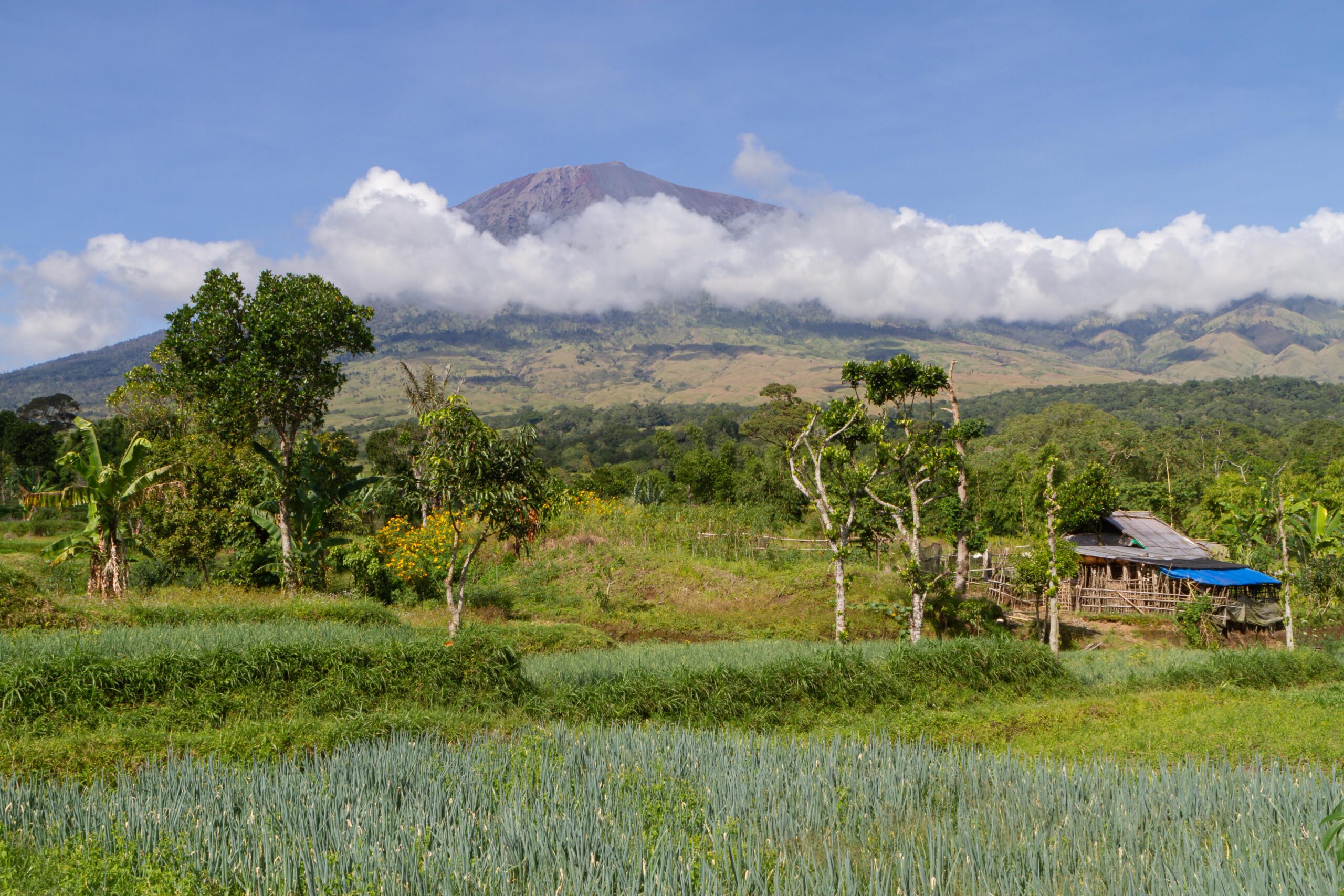rural lombok mount rinjani indonesia