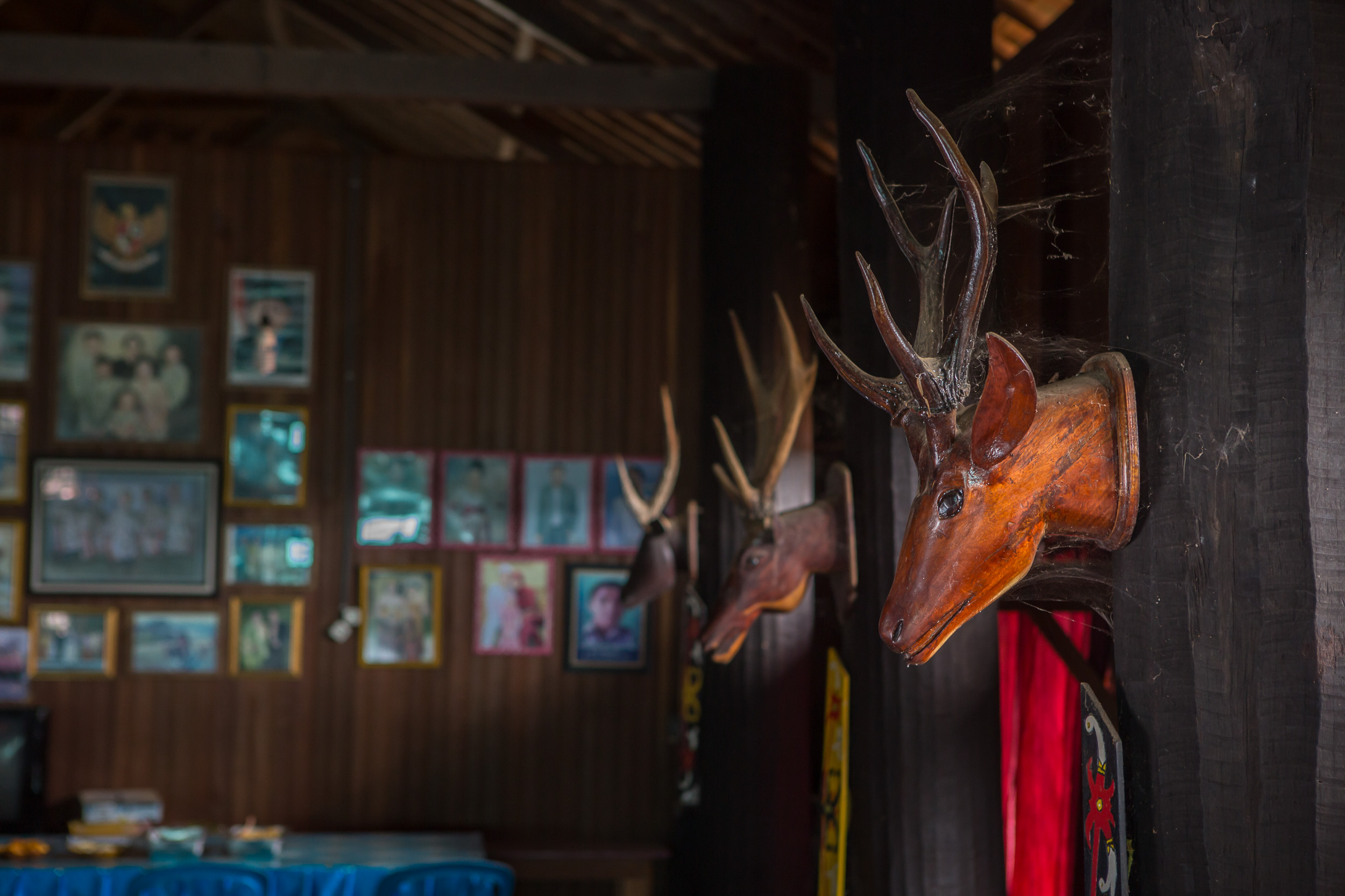 Culture, Dayak, Indonesia, Kalimantan, Tumbang Manggu