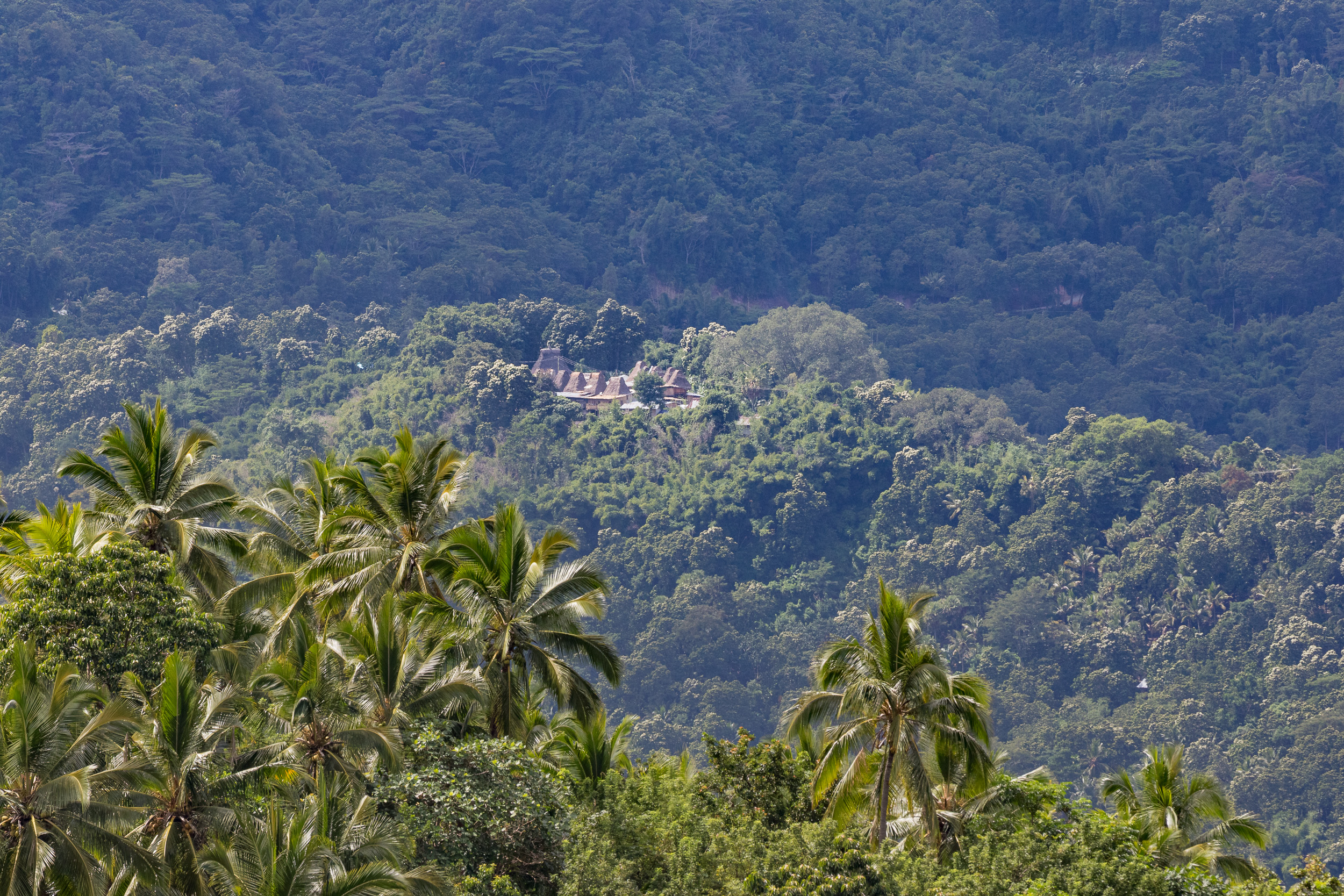 Gurusina, Indonesia, bajawa, flores