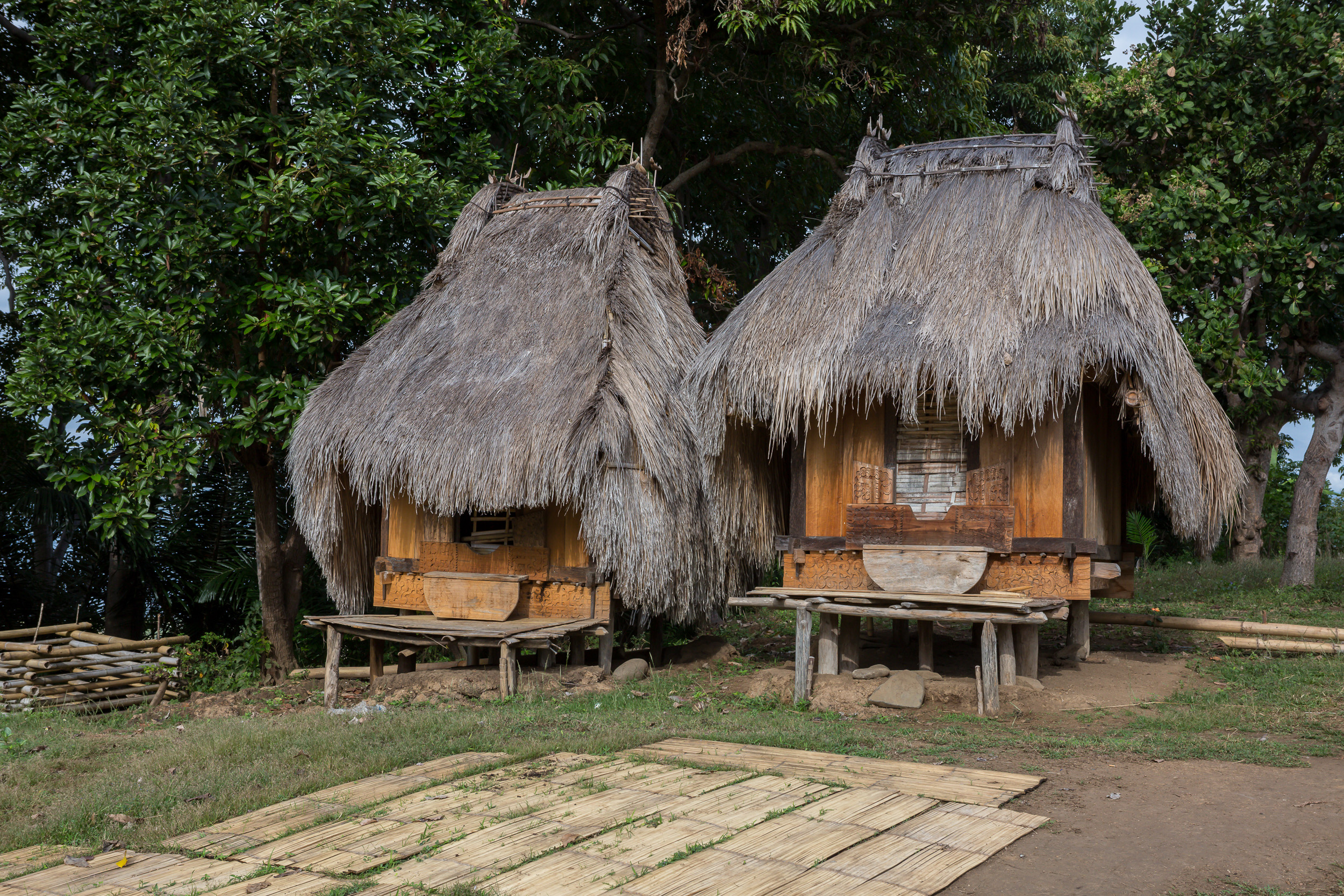 Belaraghi, Indonesia, bajawa, flores