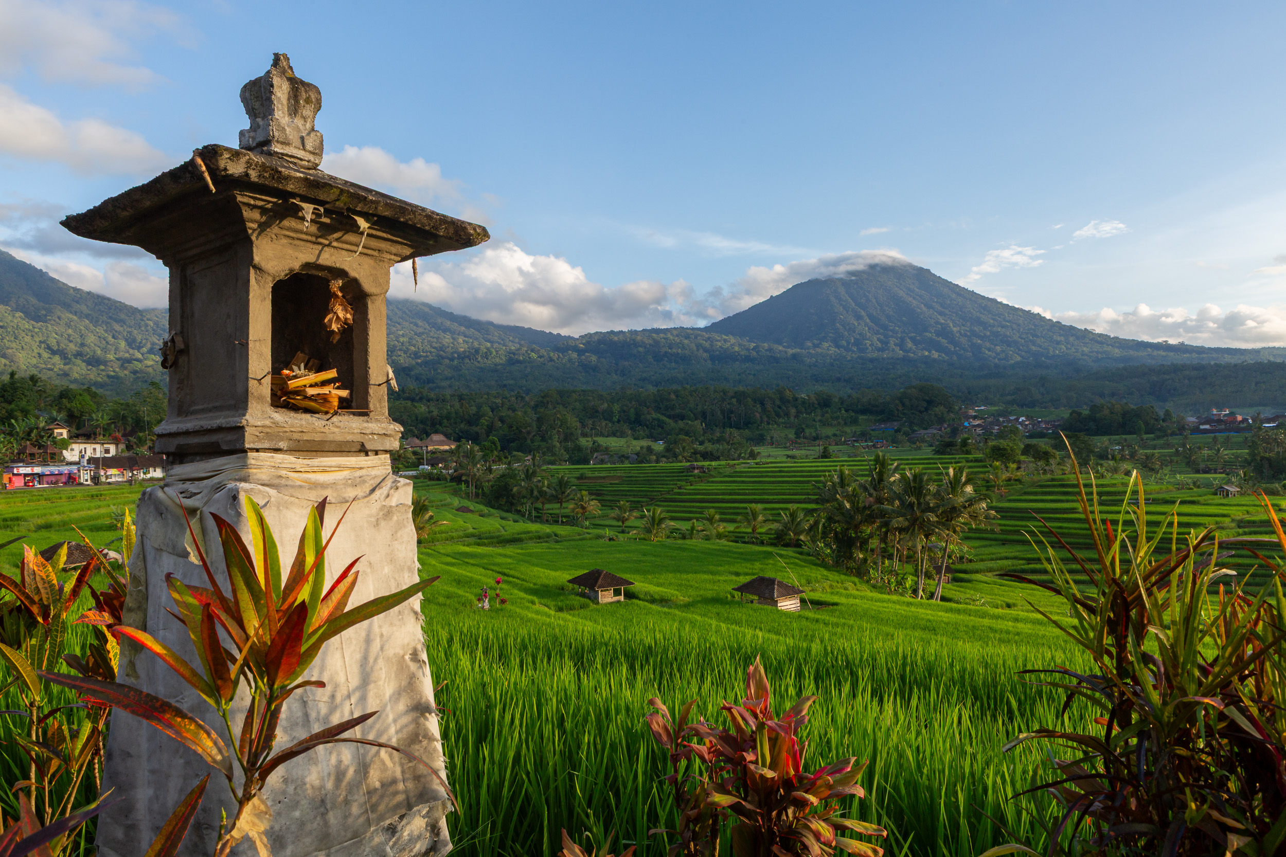 subak temple jatiluwih rice fields bali