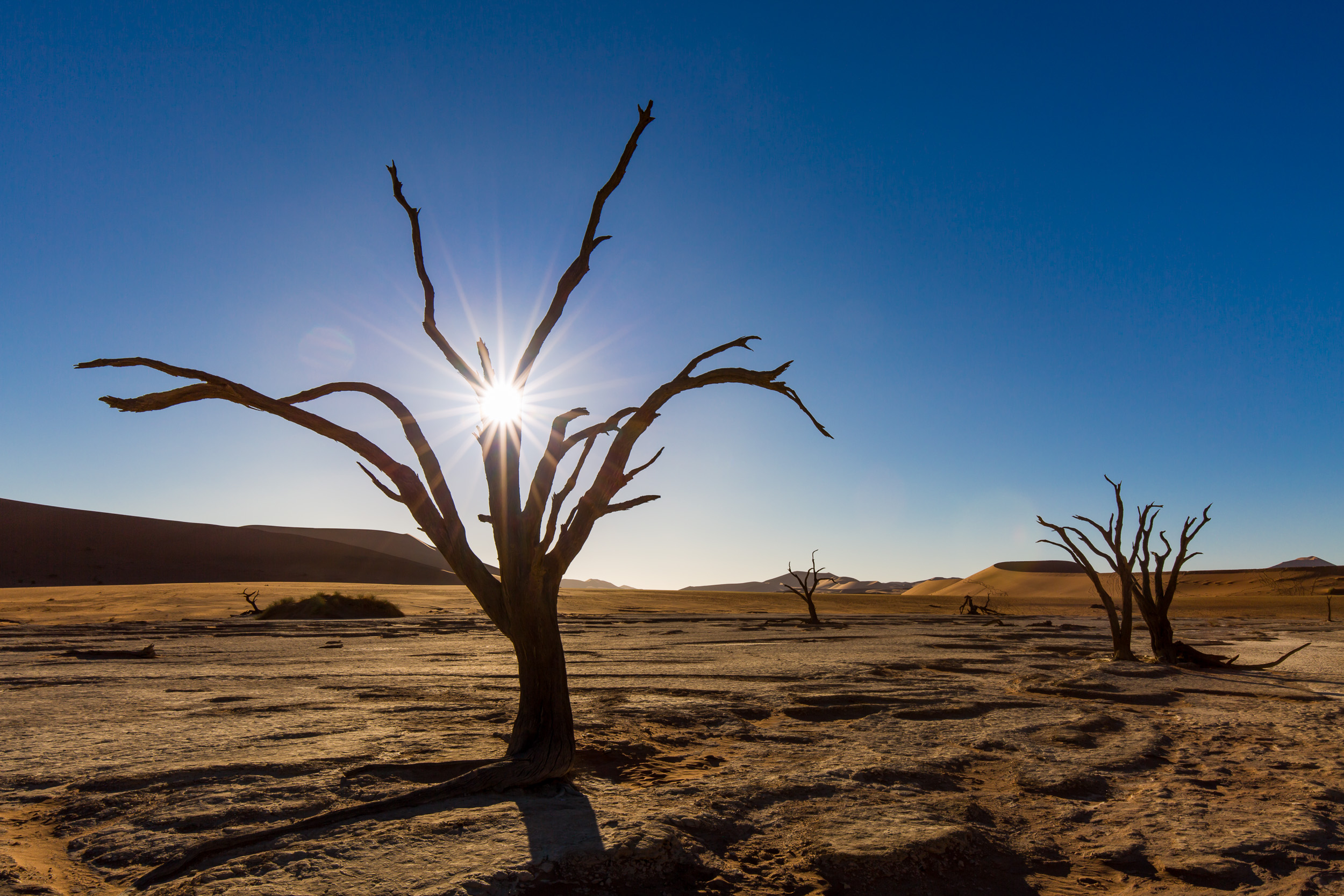 Africa, Namibia, Sossusvlei