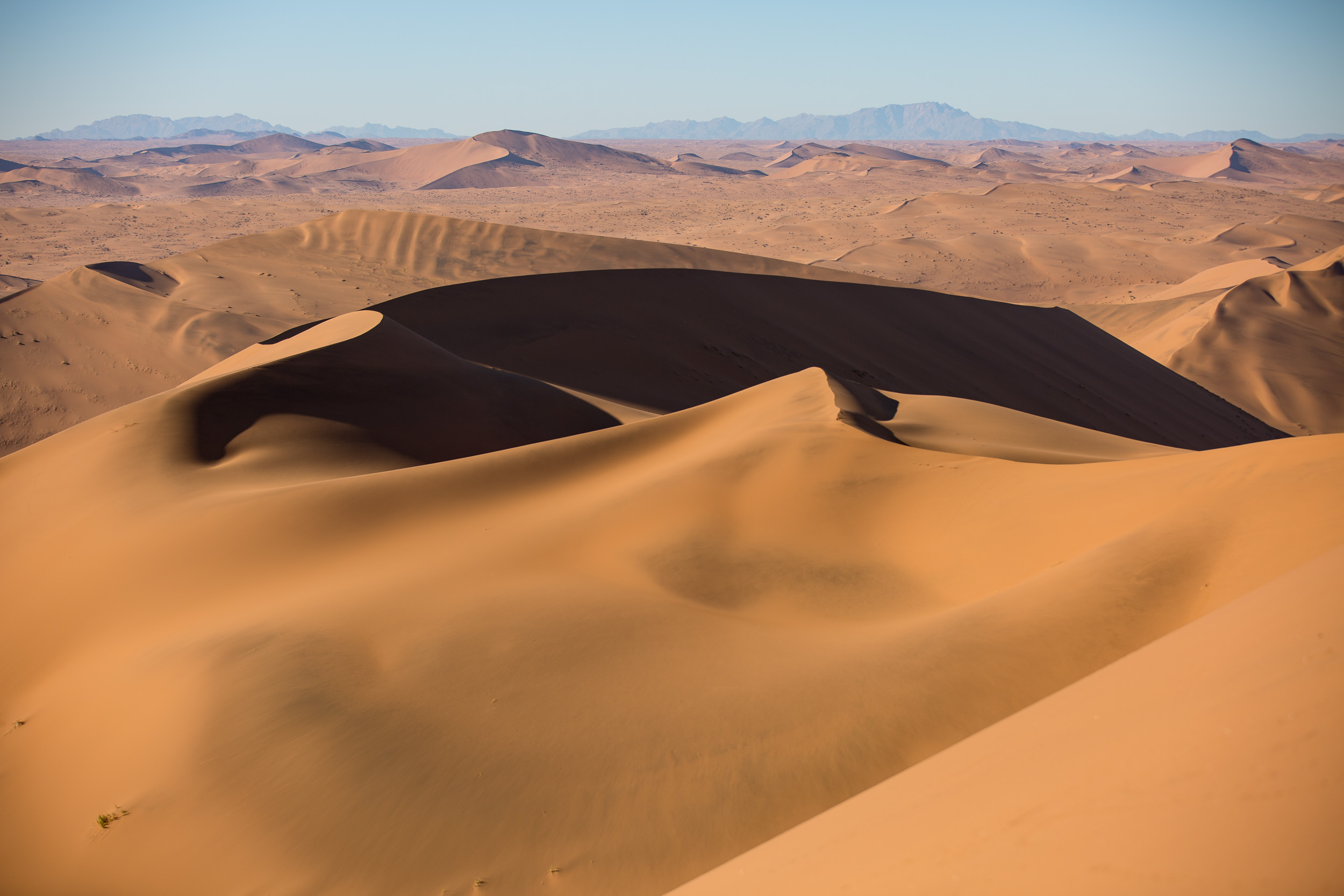 Africa, Namibia, Sossusvlei