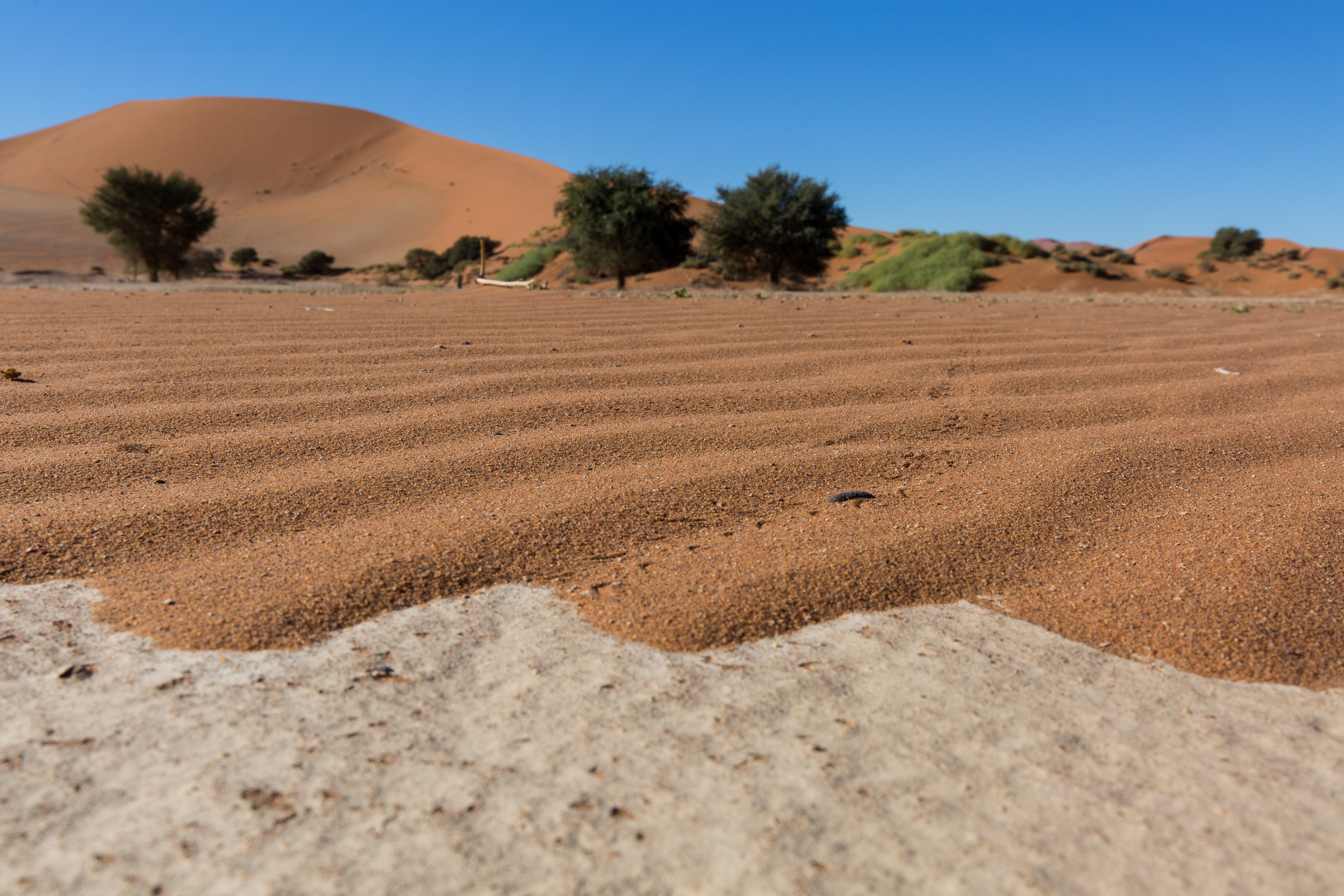 Africa, Namibia, Sossusvlei