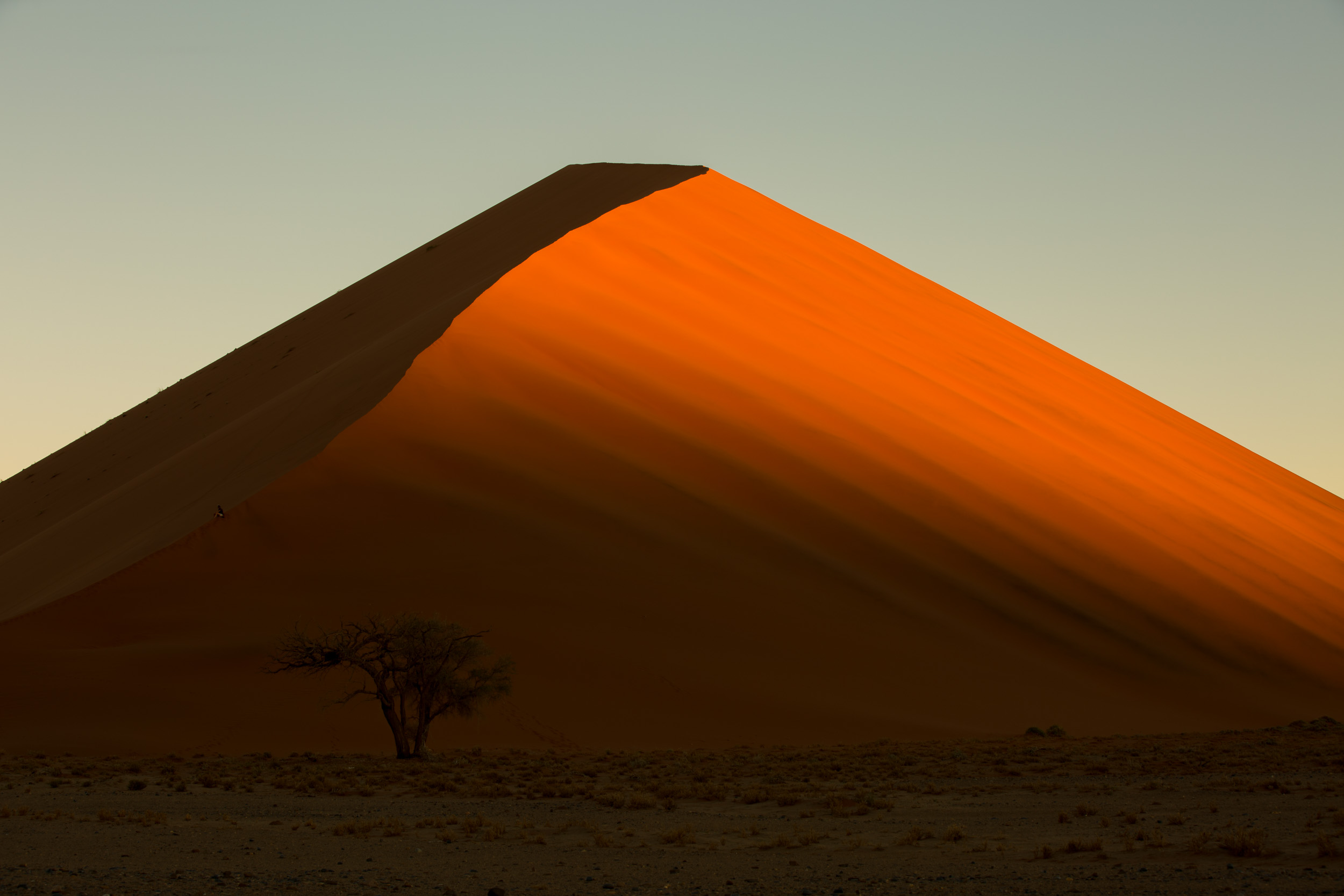 Africa, Namibia, Sossusvlei