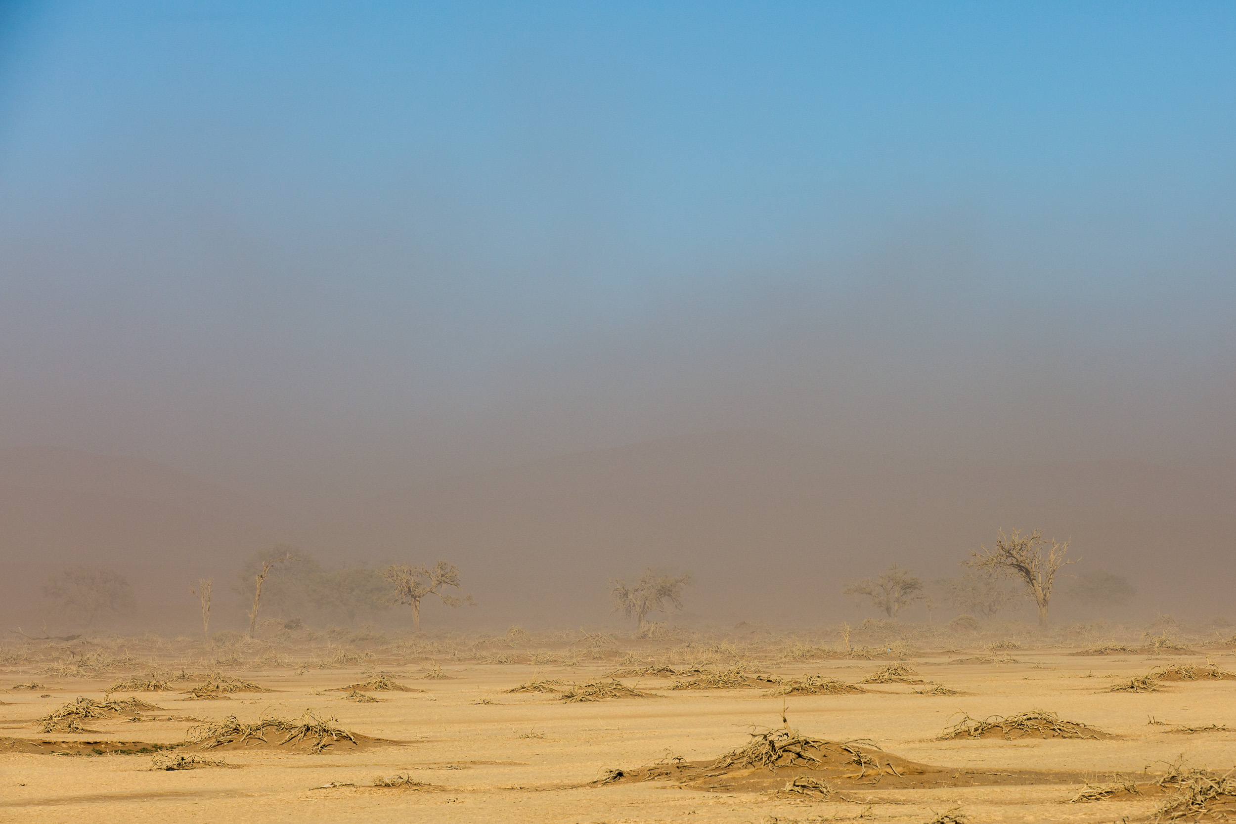 Africa, Namibia, Sossusvlei