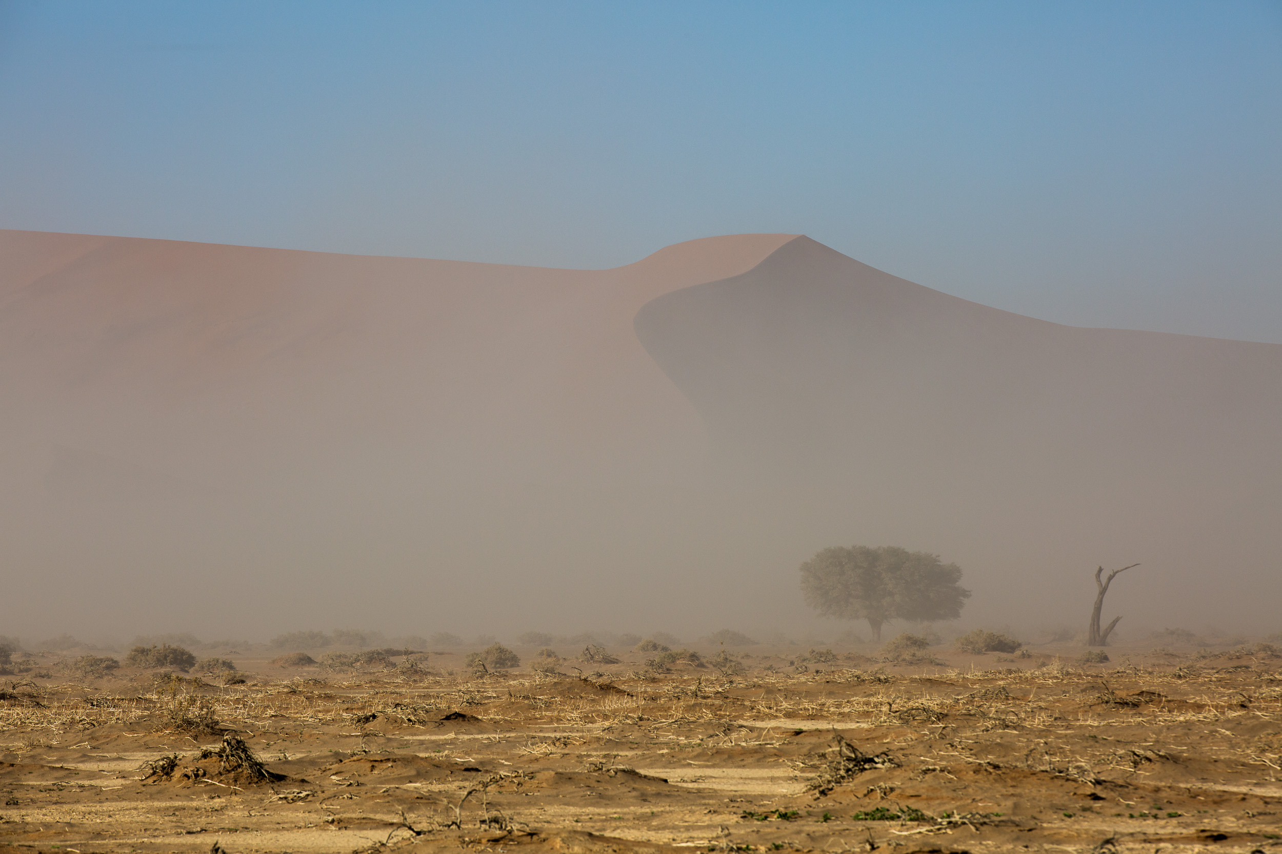 Africa, Namibia, Sossusvlei
