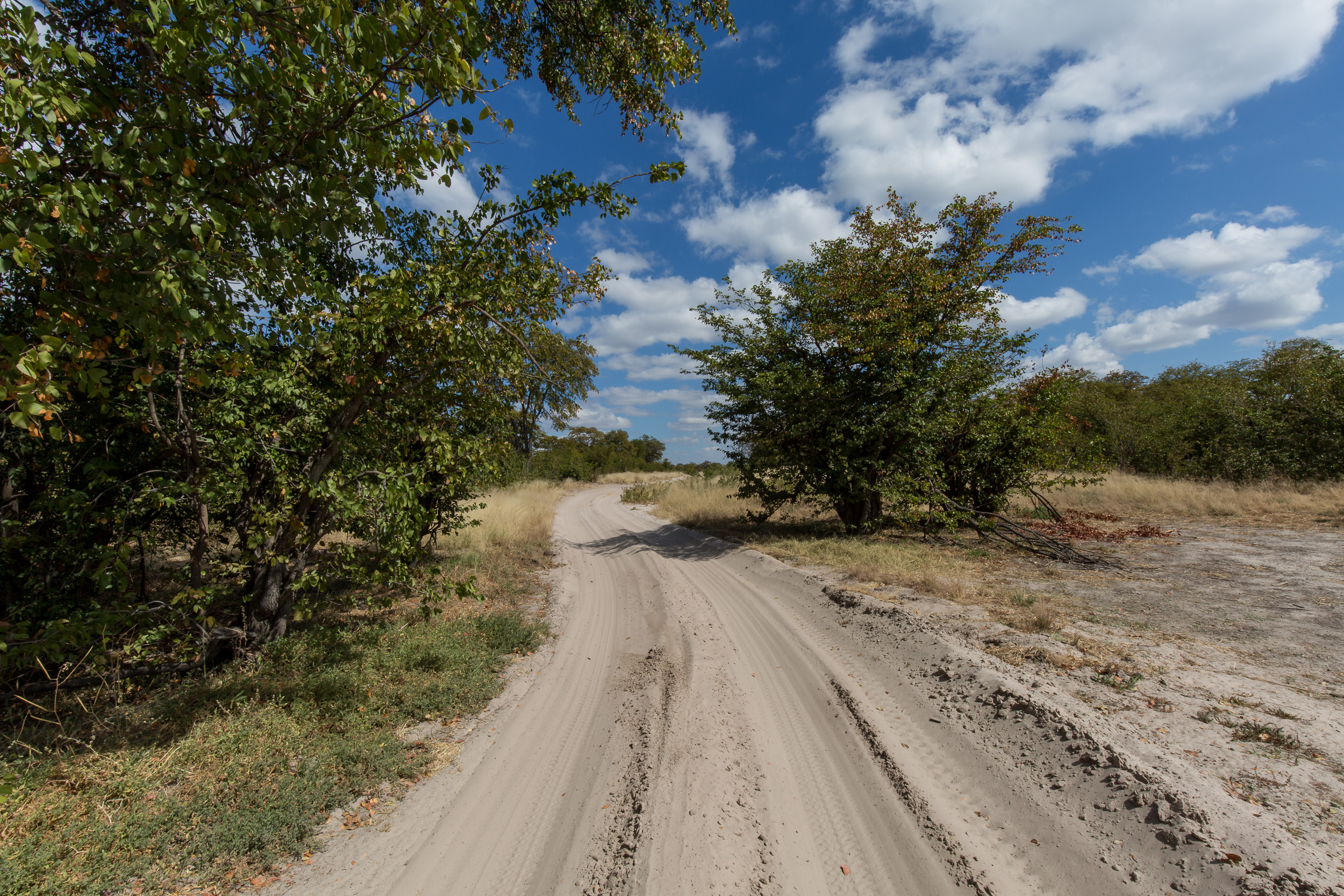 Africa, Chobe National Park, Savuti, botswana
