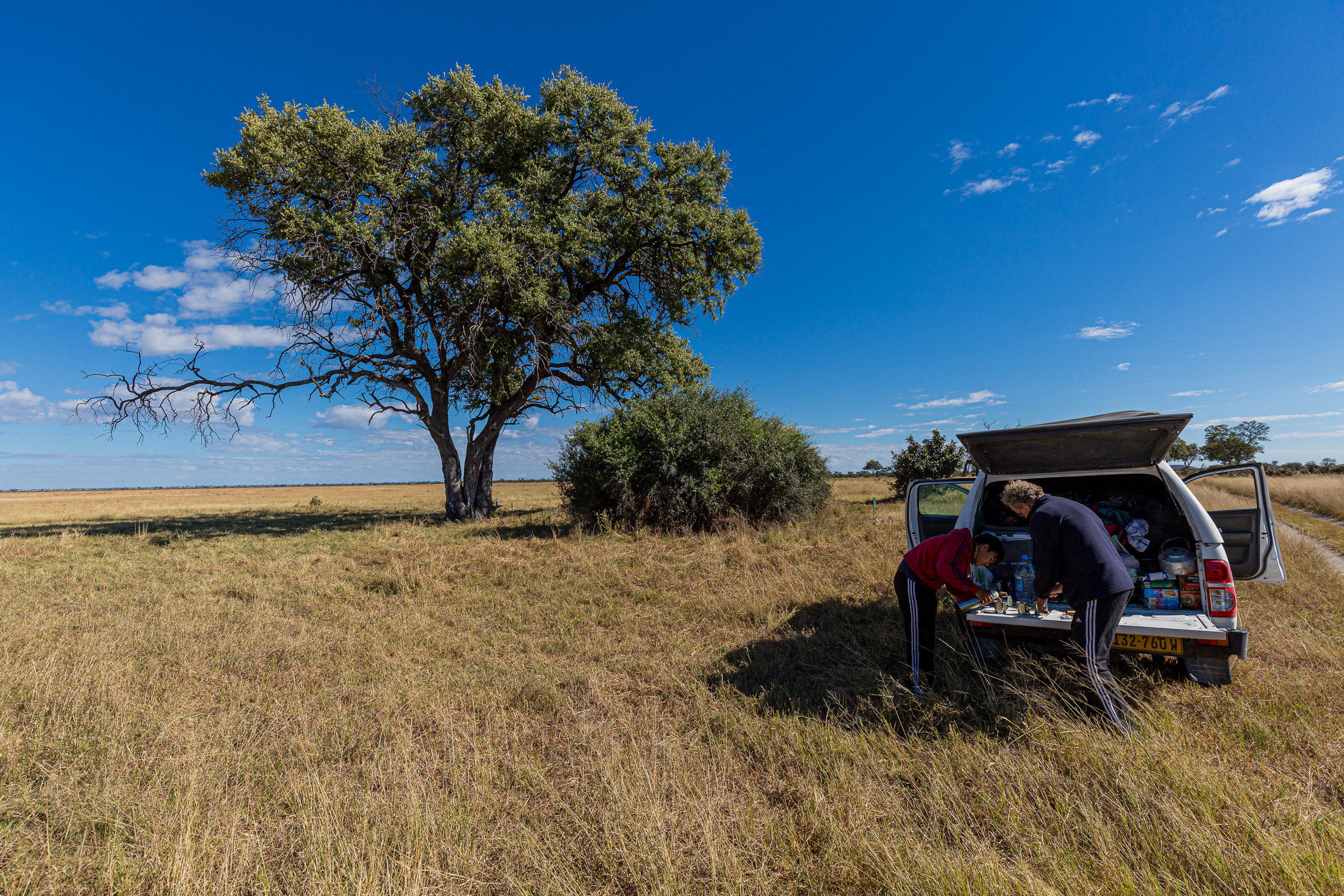 Africa, Chobe National Park, Savuti, Stan/Dio, botswana