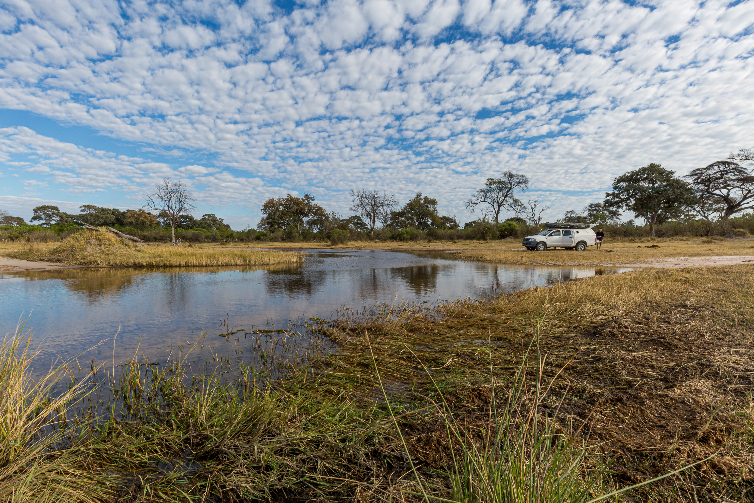 Africa, Khwai, botswana