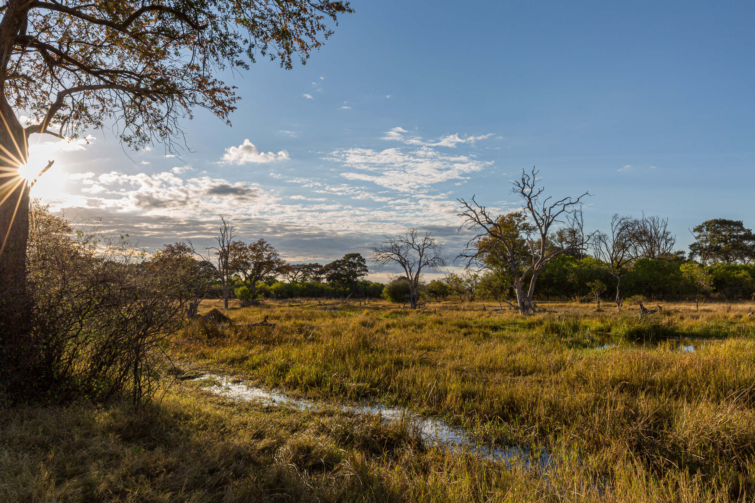 Africa, Khwai, botswana