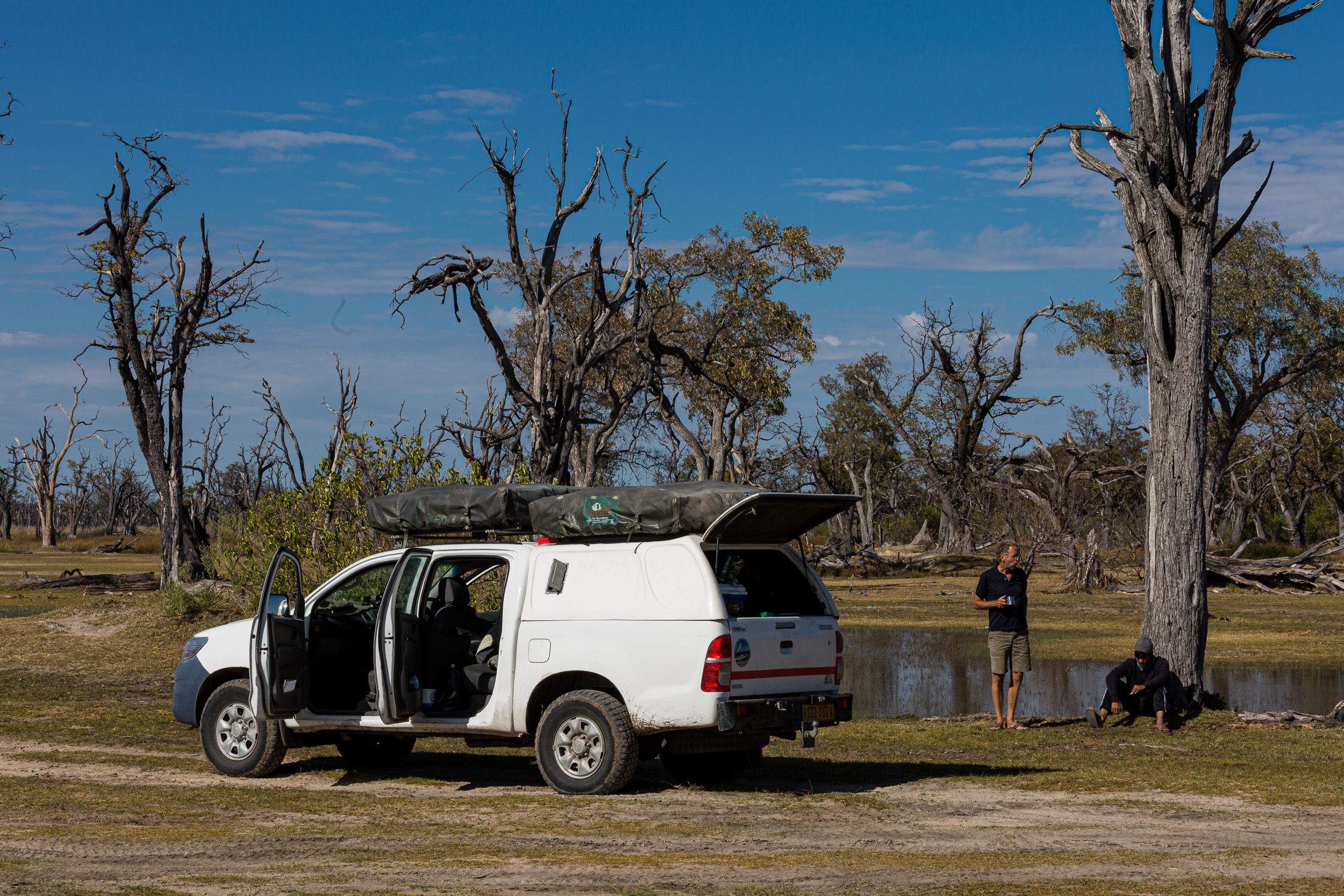 Africa, Moremi Game Reserve, Stan/Dio, botswana