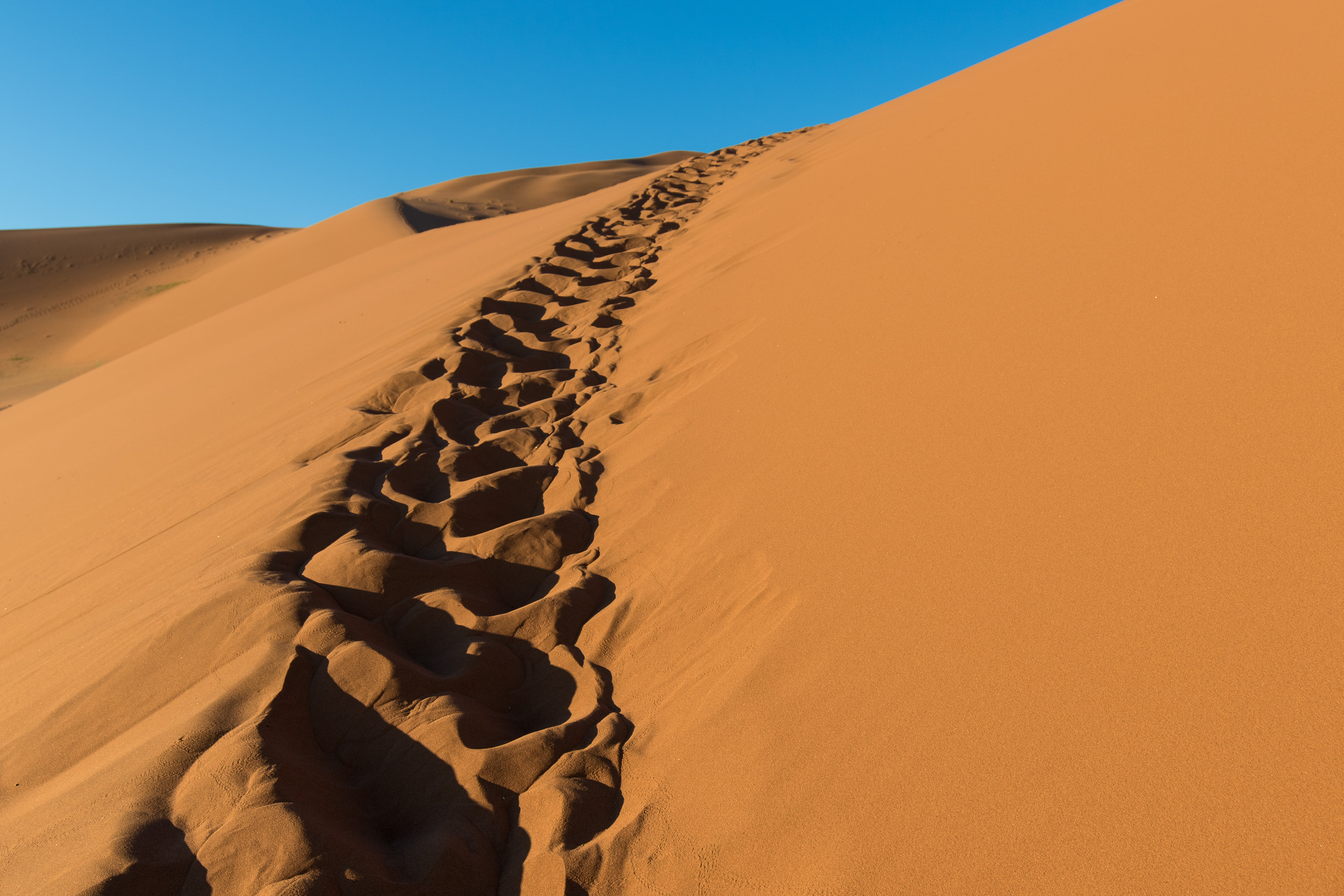 Africa, Namibia, Sossusvlei
