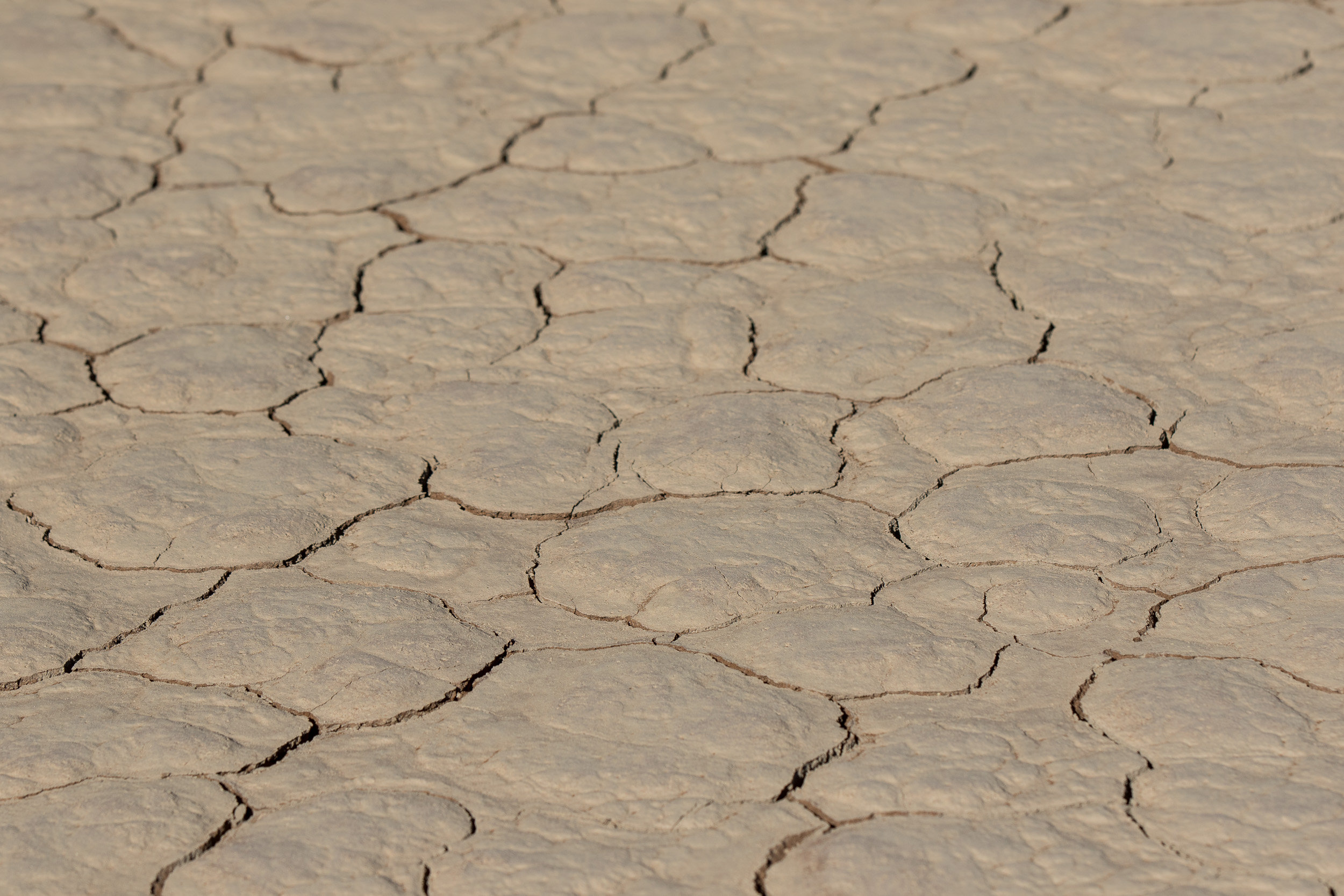 Africa, Namibia, Sossusvlei