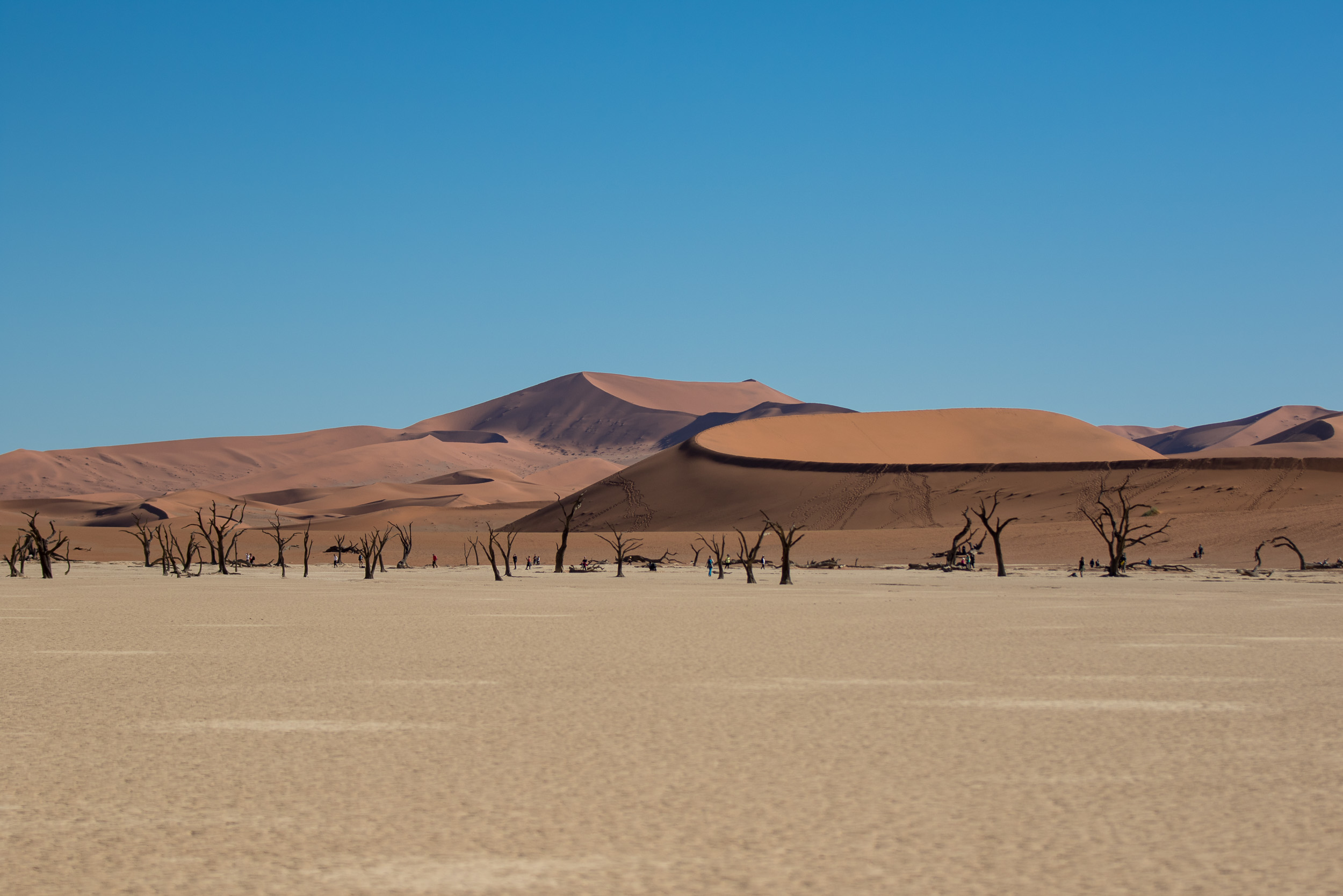 Africa, Namibia, Sossusvlei