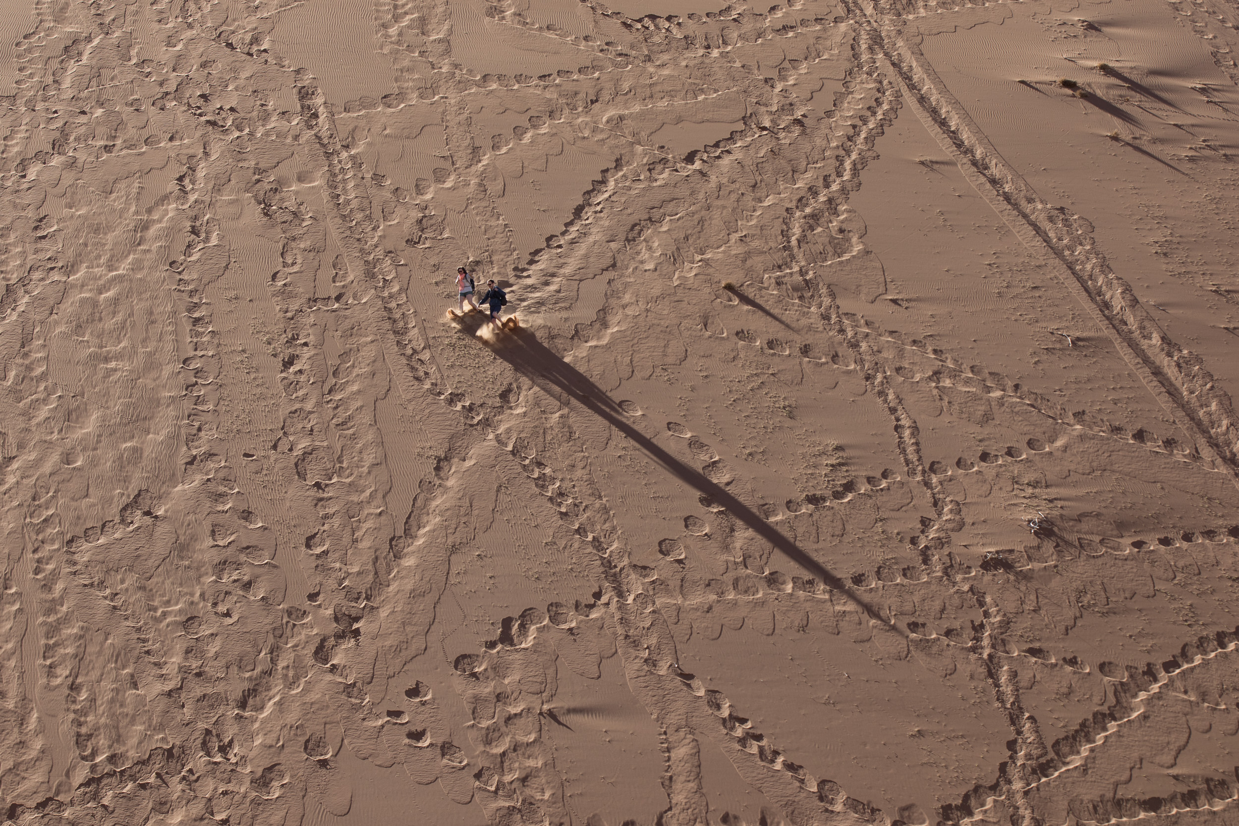 Africa, Namibia, Sossusvlei
