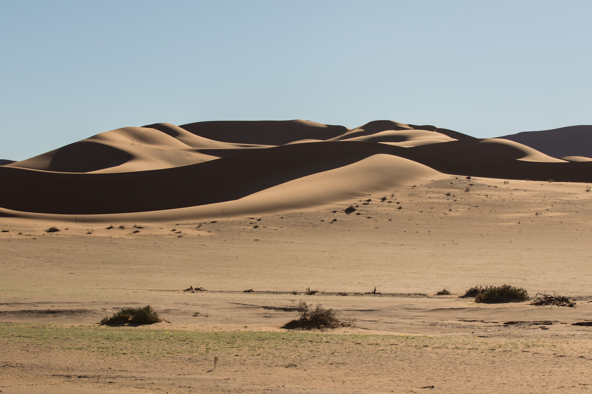 Africa, Namibia, Sossusvlei