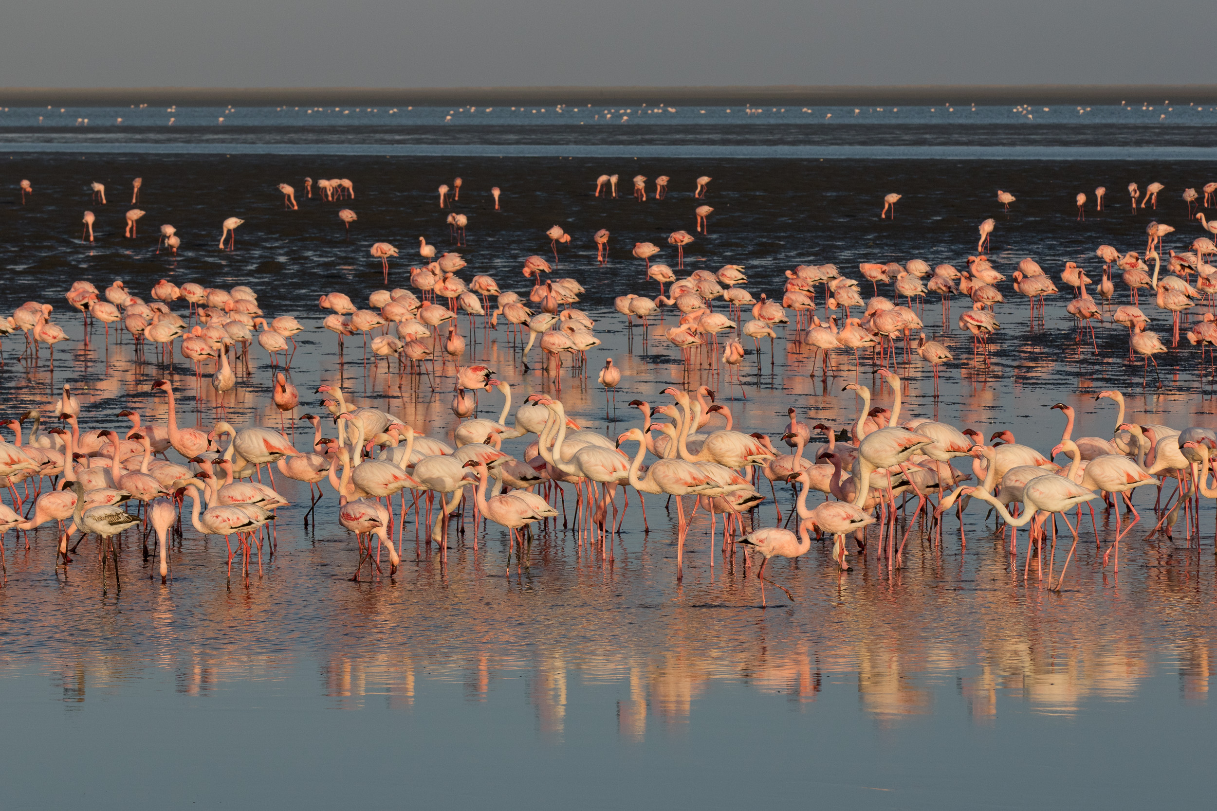 Africa, Namibia, Walvisbay