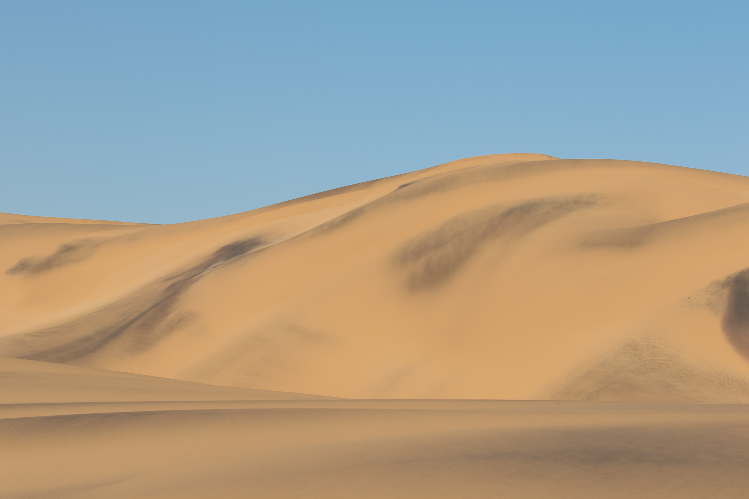 Africa, LivingDesert, Namibia, Swakopmund