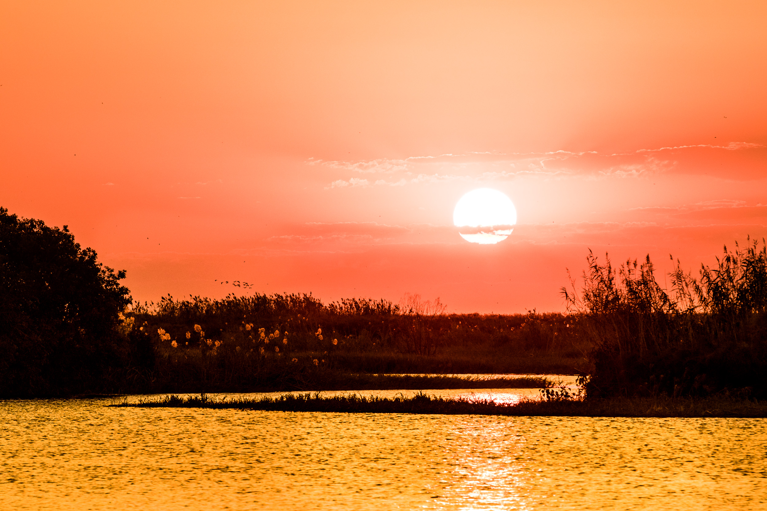 Chobe National Park in Botswana