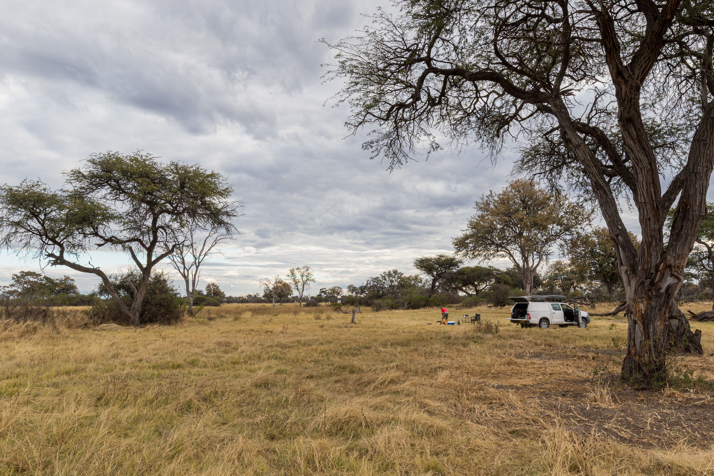 Africa, Khwai, Khwai Community Camp, Stan/Dio, botswana