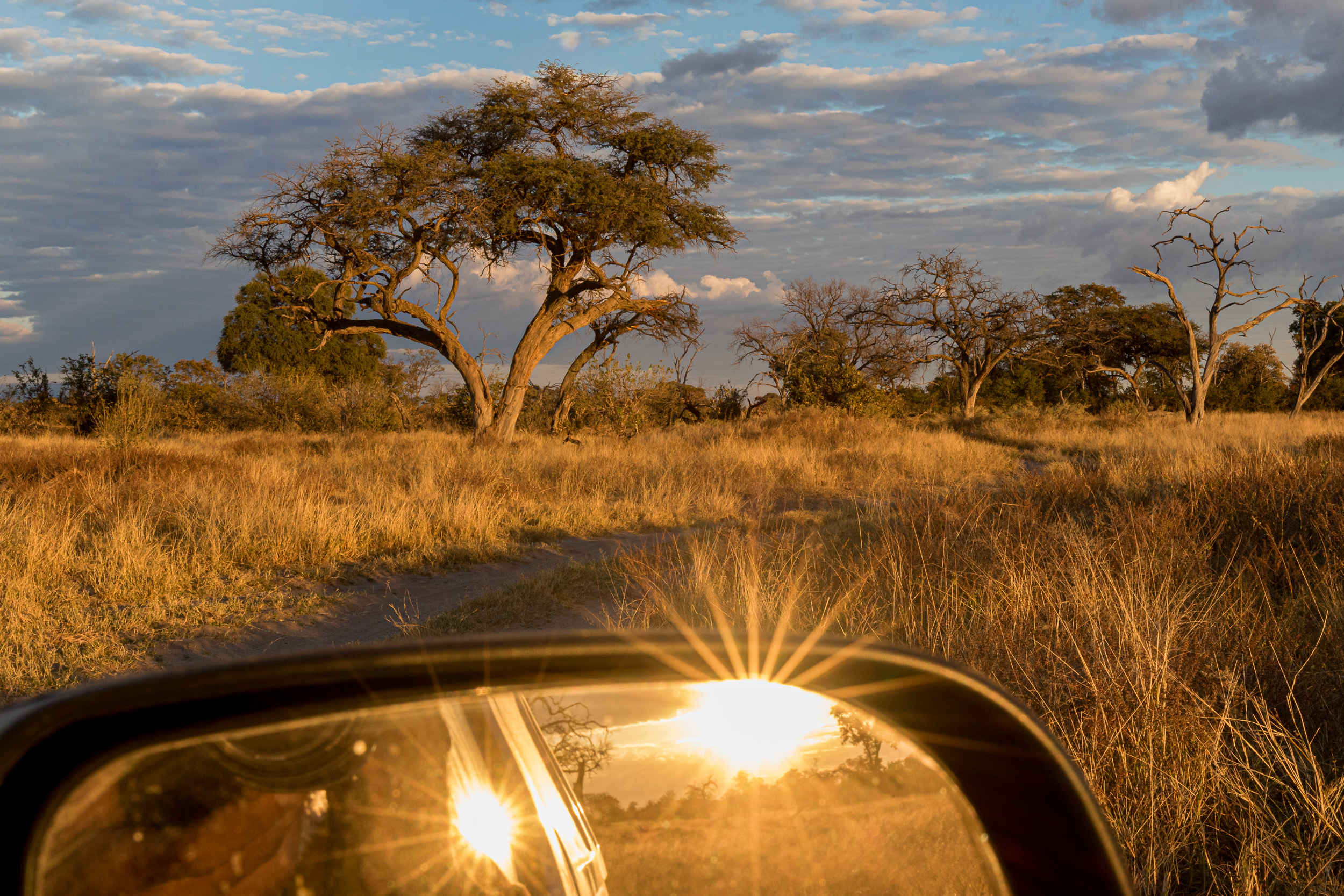 Africa, Khwai, botswana