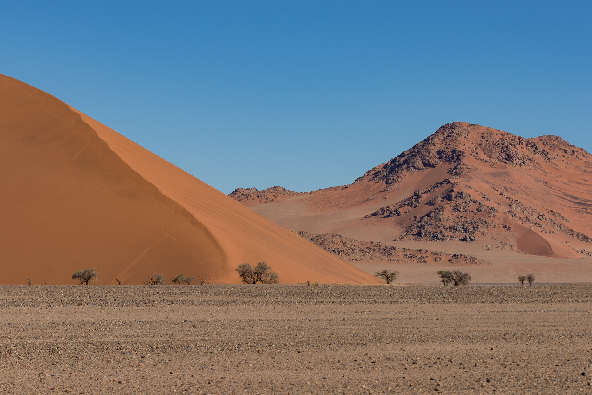 Africa, Namibia, Sossusvlei