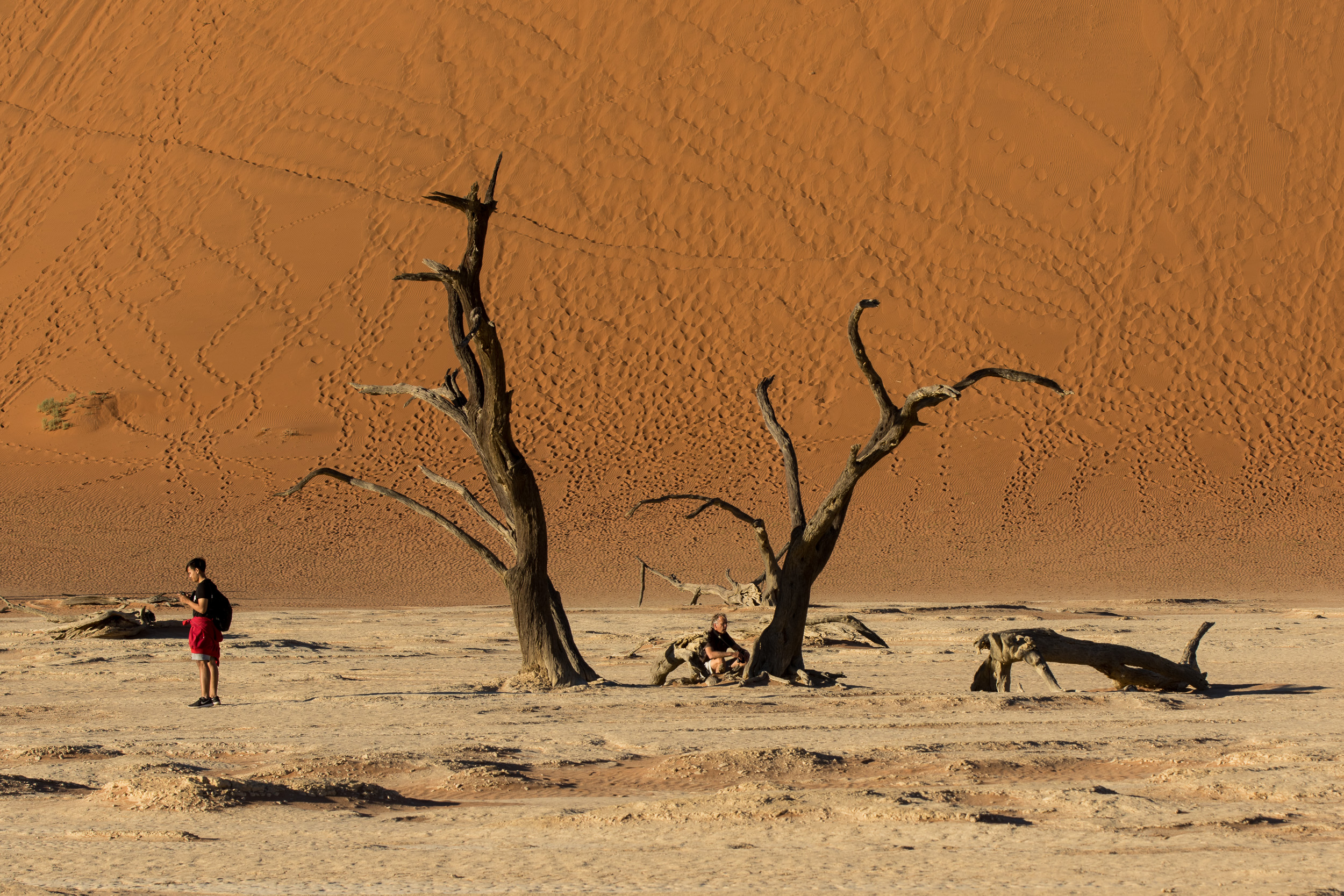 Africa, Namibia, Sossusvlei, Stan/Dio