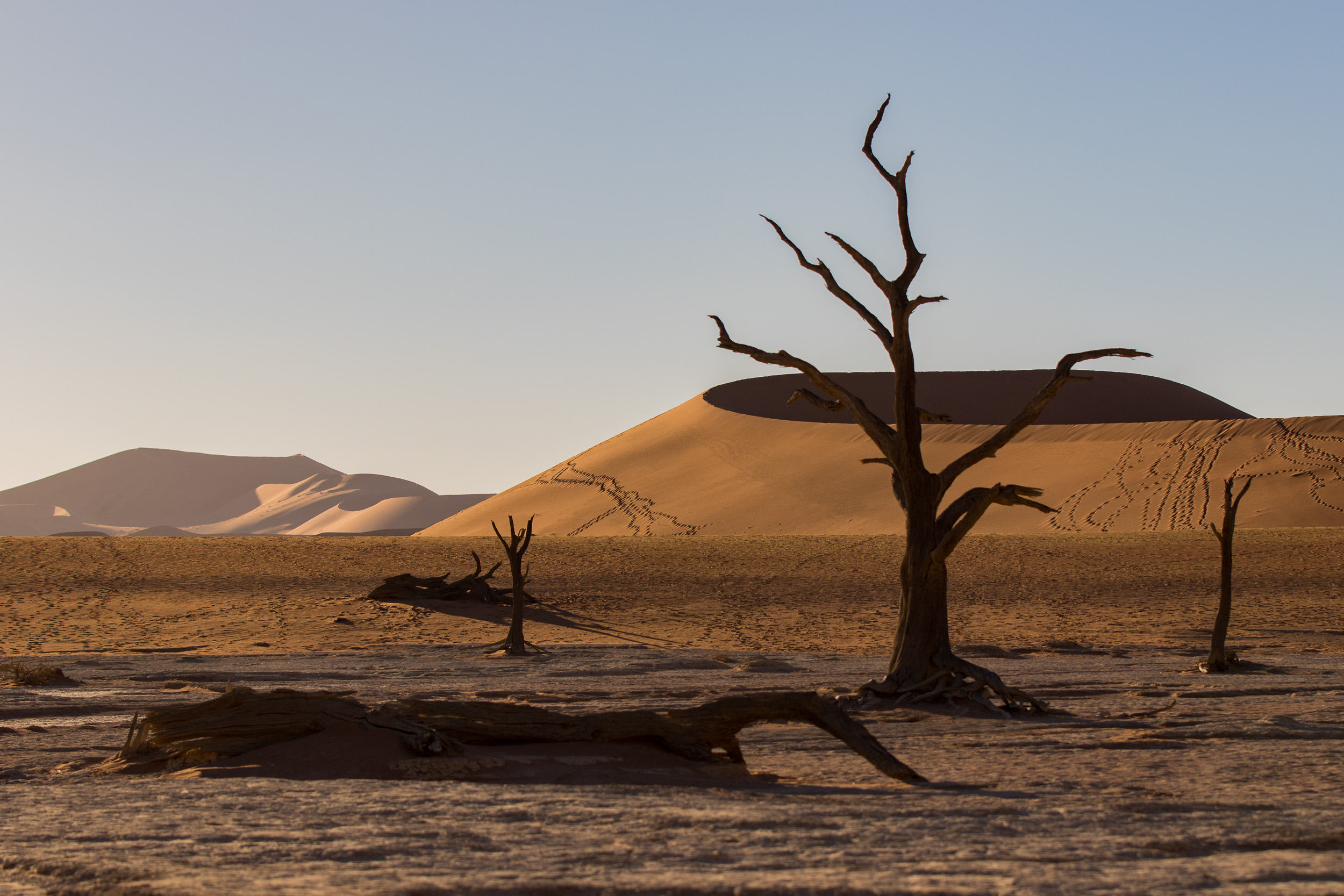 Africa, Namibia, Sossusvlei