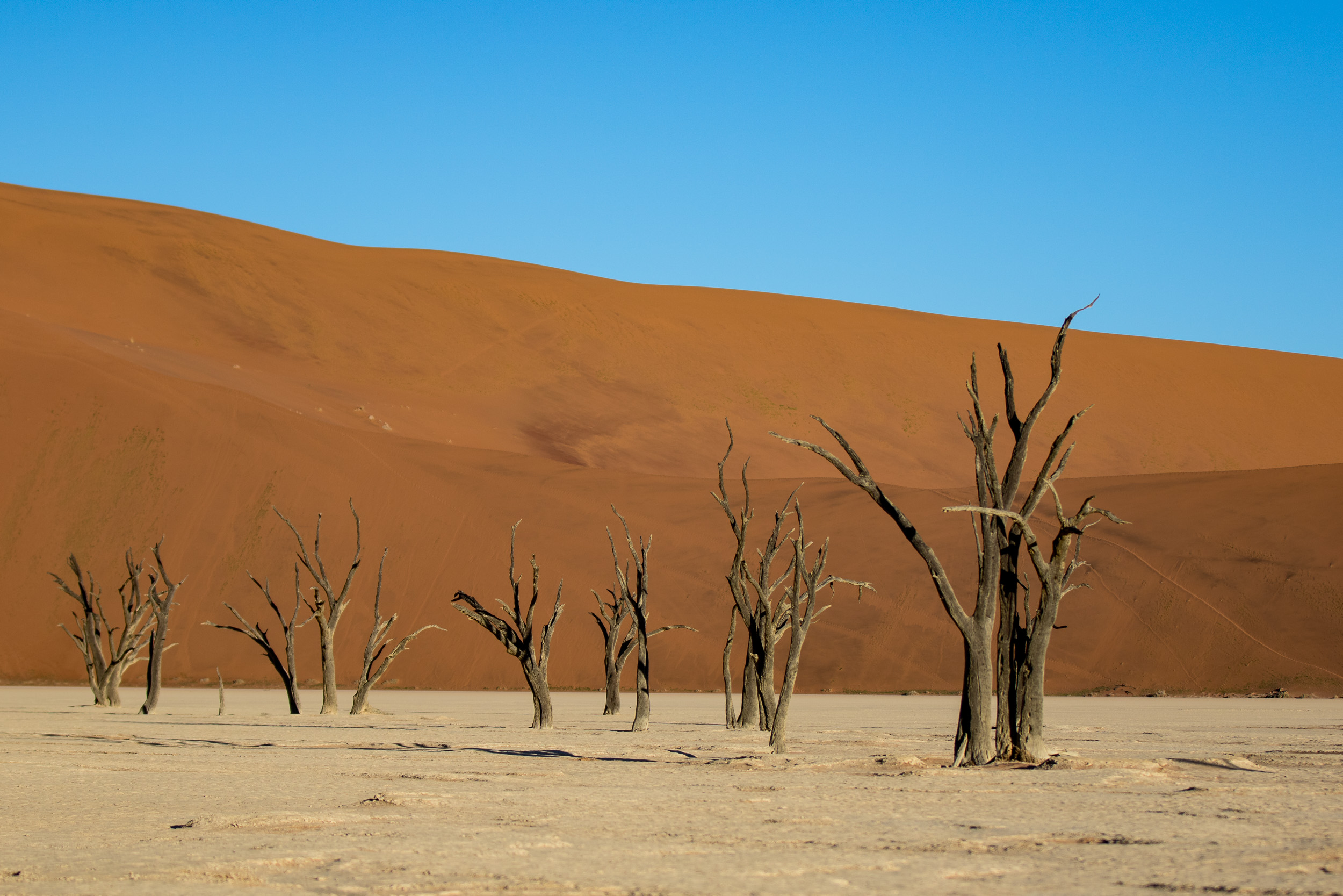 Africa, Namibia, Sossusvlei