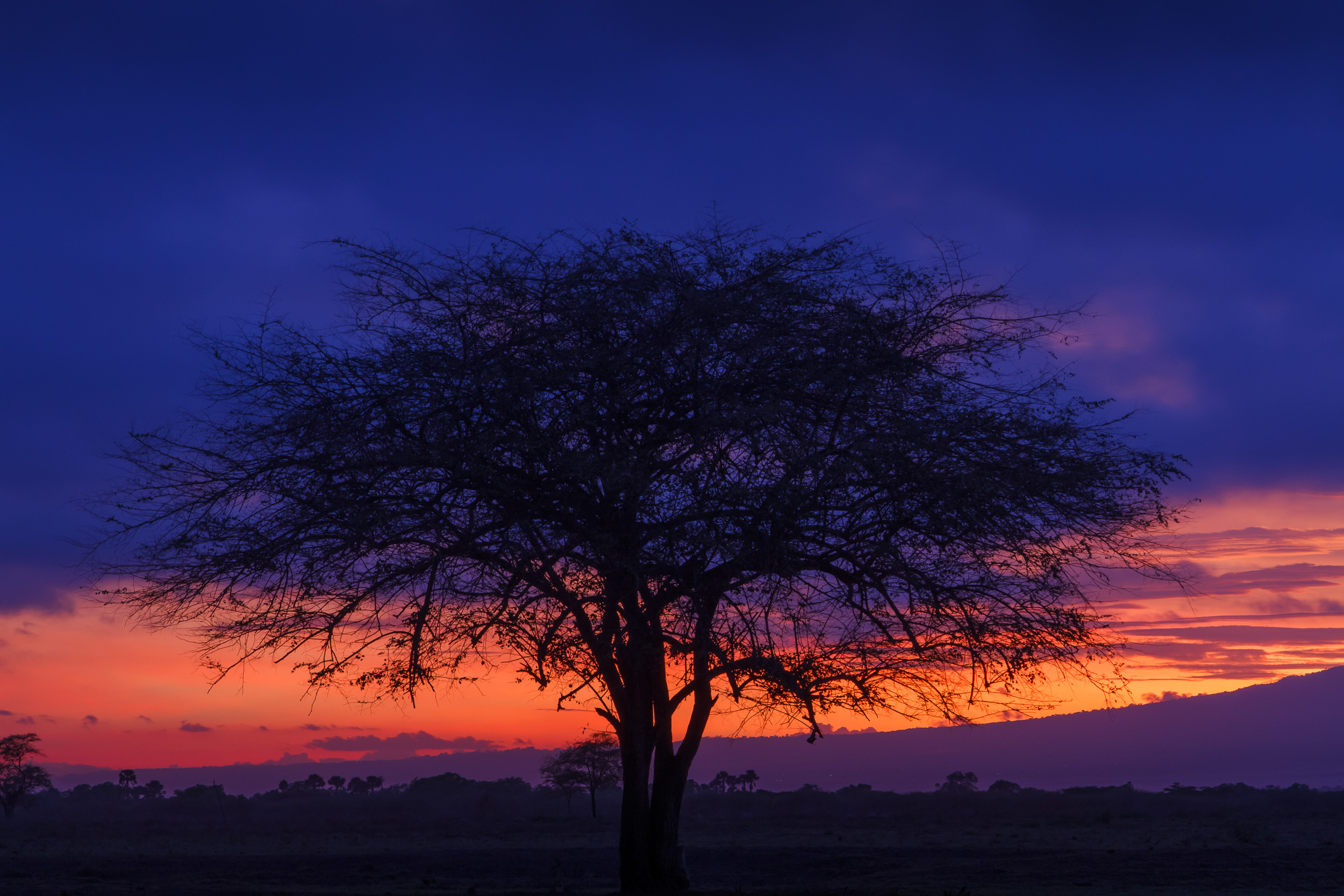 Baluran National Park, Indonesia, Java, Pa&Ma