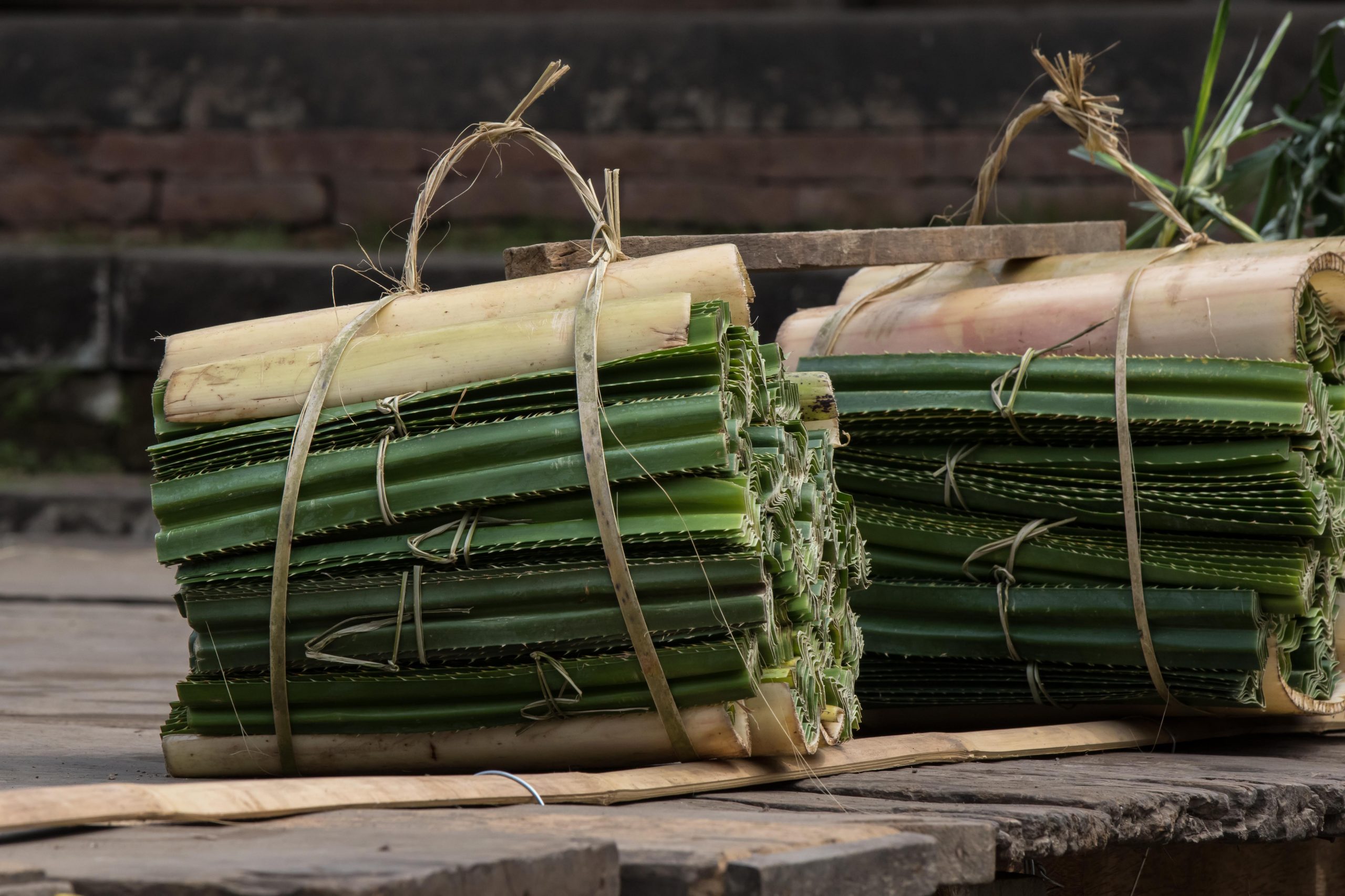 Pandanus thorn leaves used in Mekare-kare ritual fight