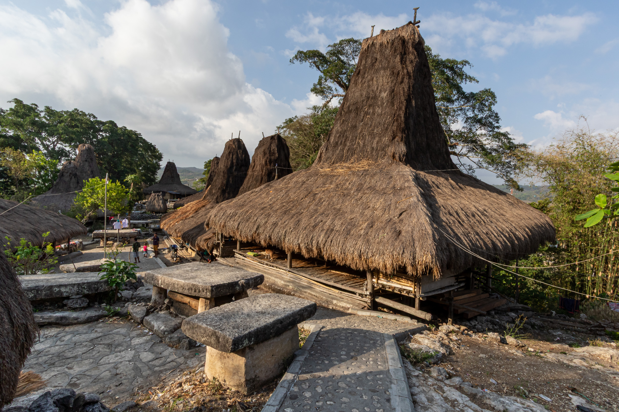 Indonesia, Prai Ijing, Sumba