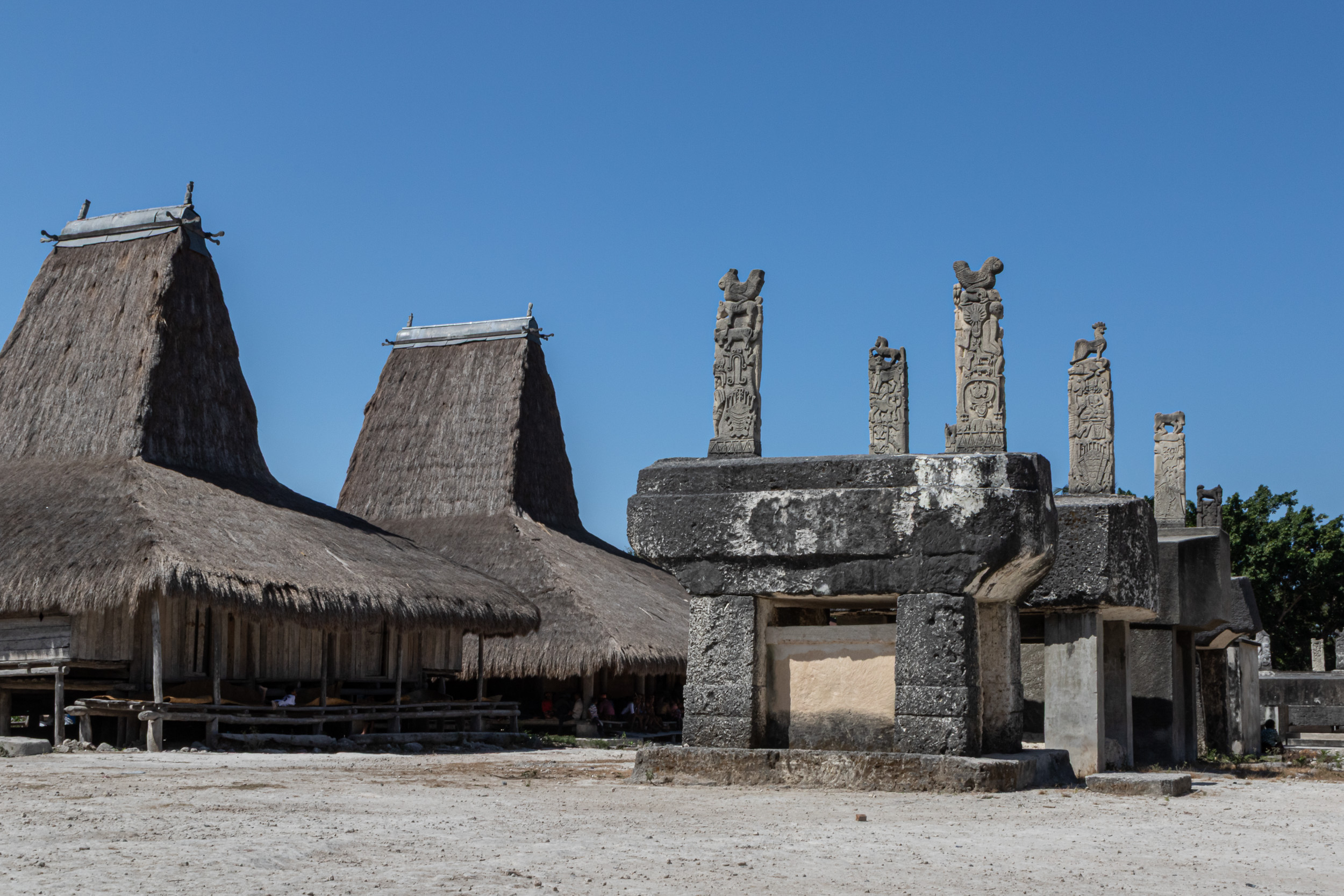 Culture, Indonesia, Sumba, funeral, praiyawang