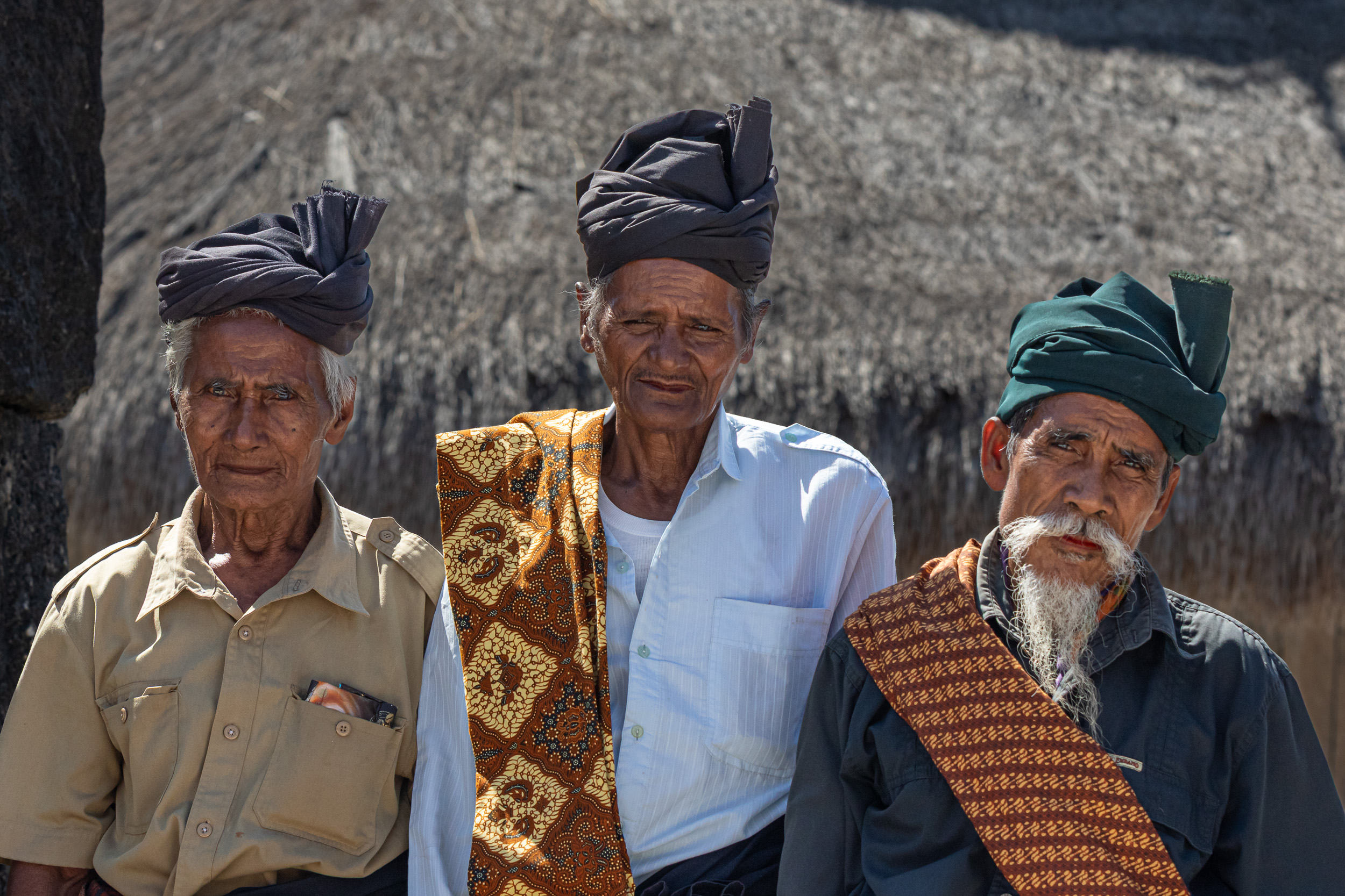 Culture, Indonesia, Sumba, funeral, praiyawang