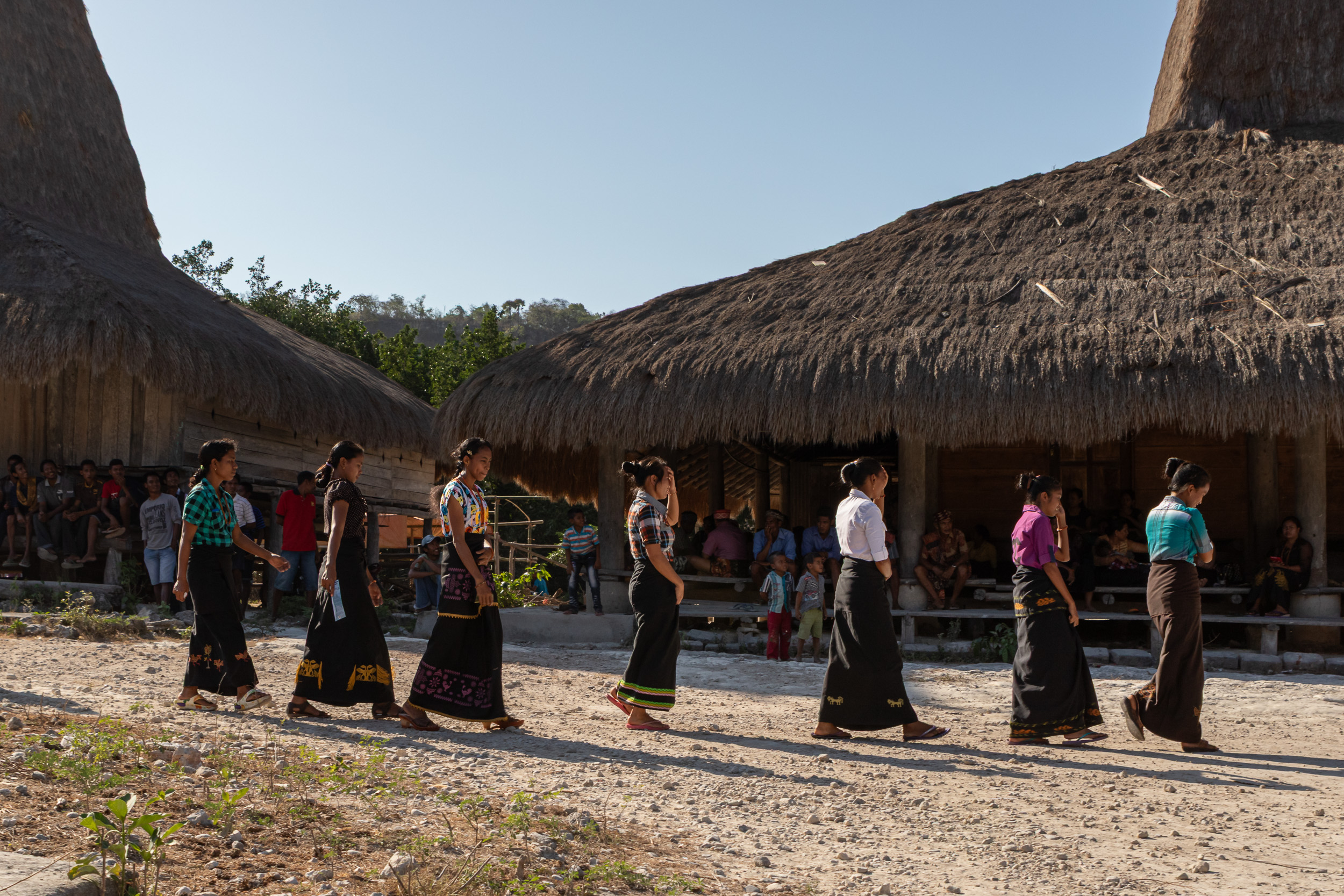 Culture, Indonesia, Sumba, funeral, praiyawang