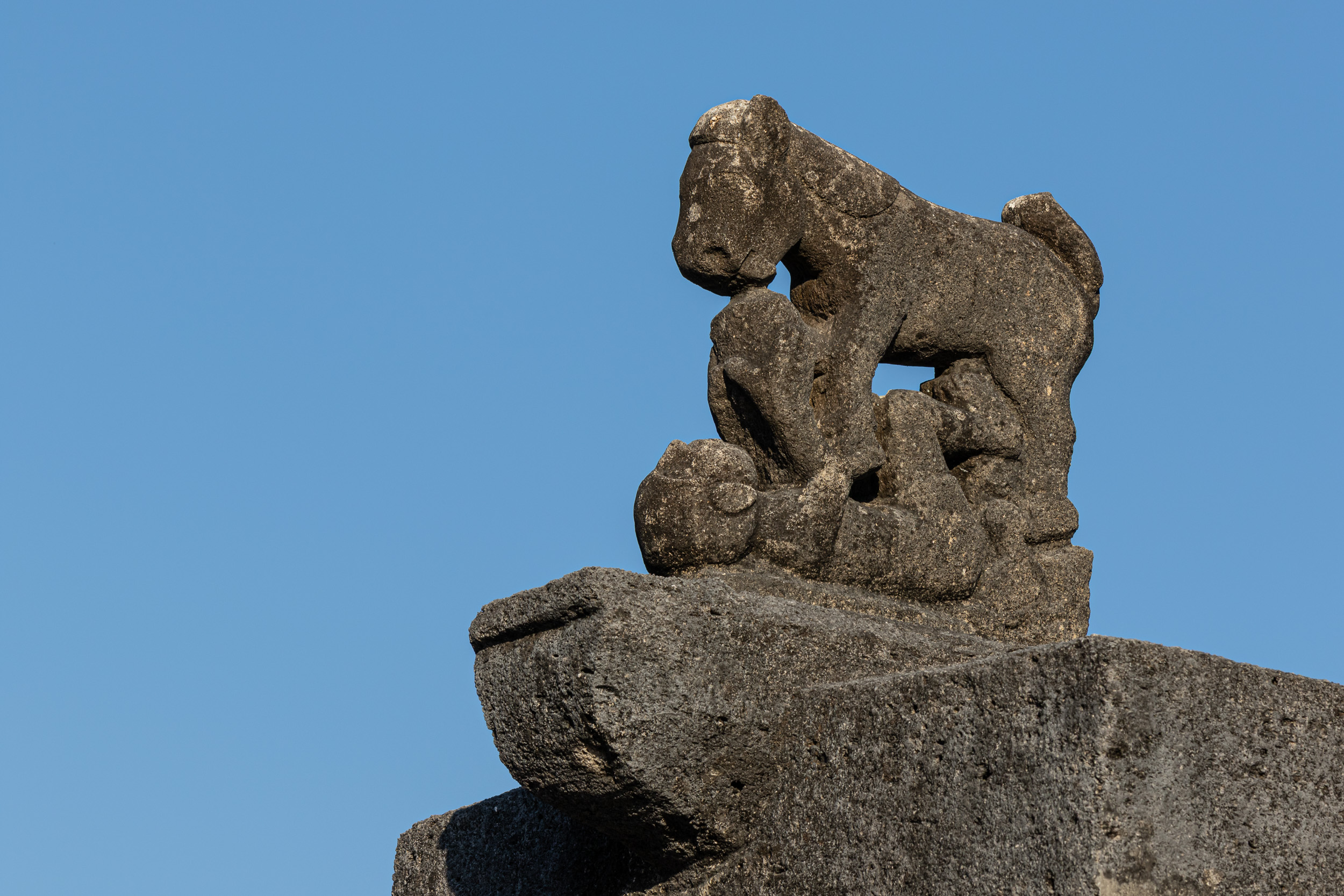 Culture, Indonesia, Sumba, funeral, praiyawang