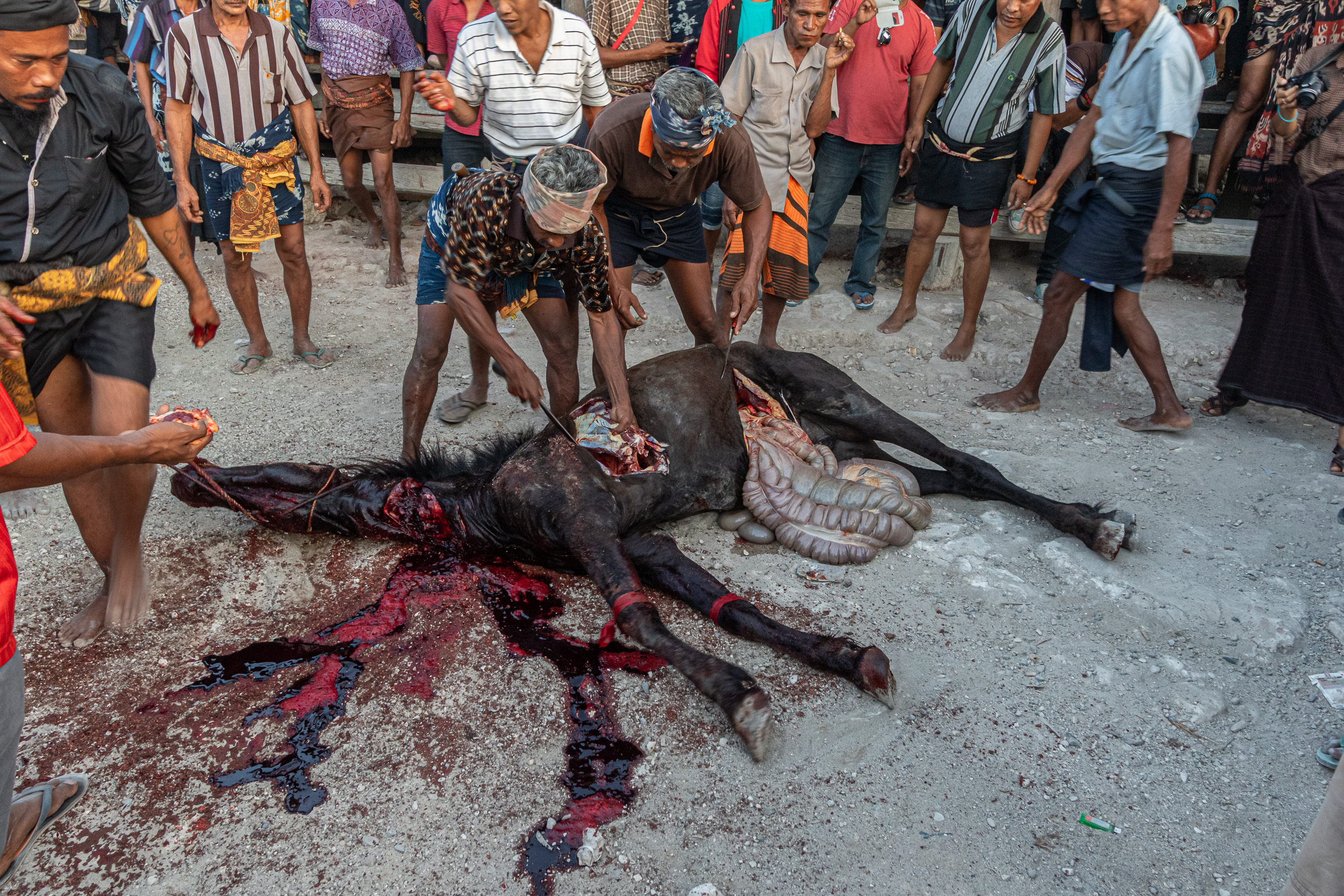 Culture, Indonesia, Sumba, funeral, praiyawang