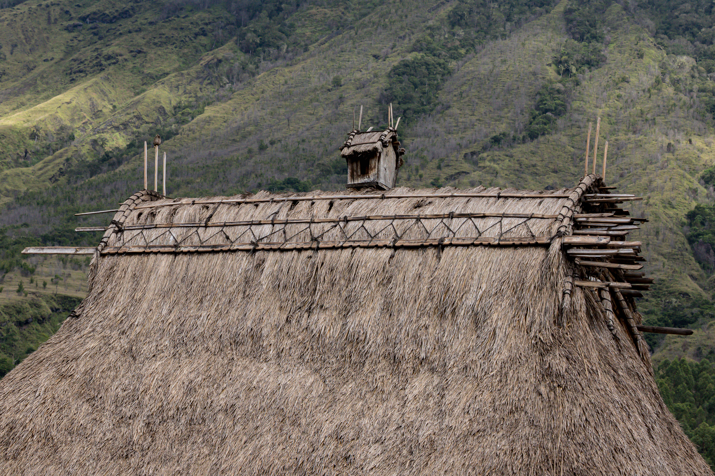Bena, Indonesia, bajawa, flores