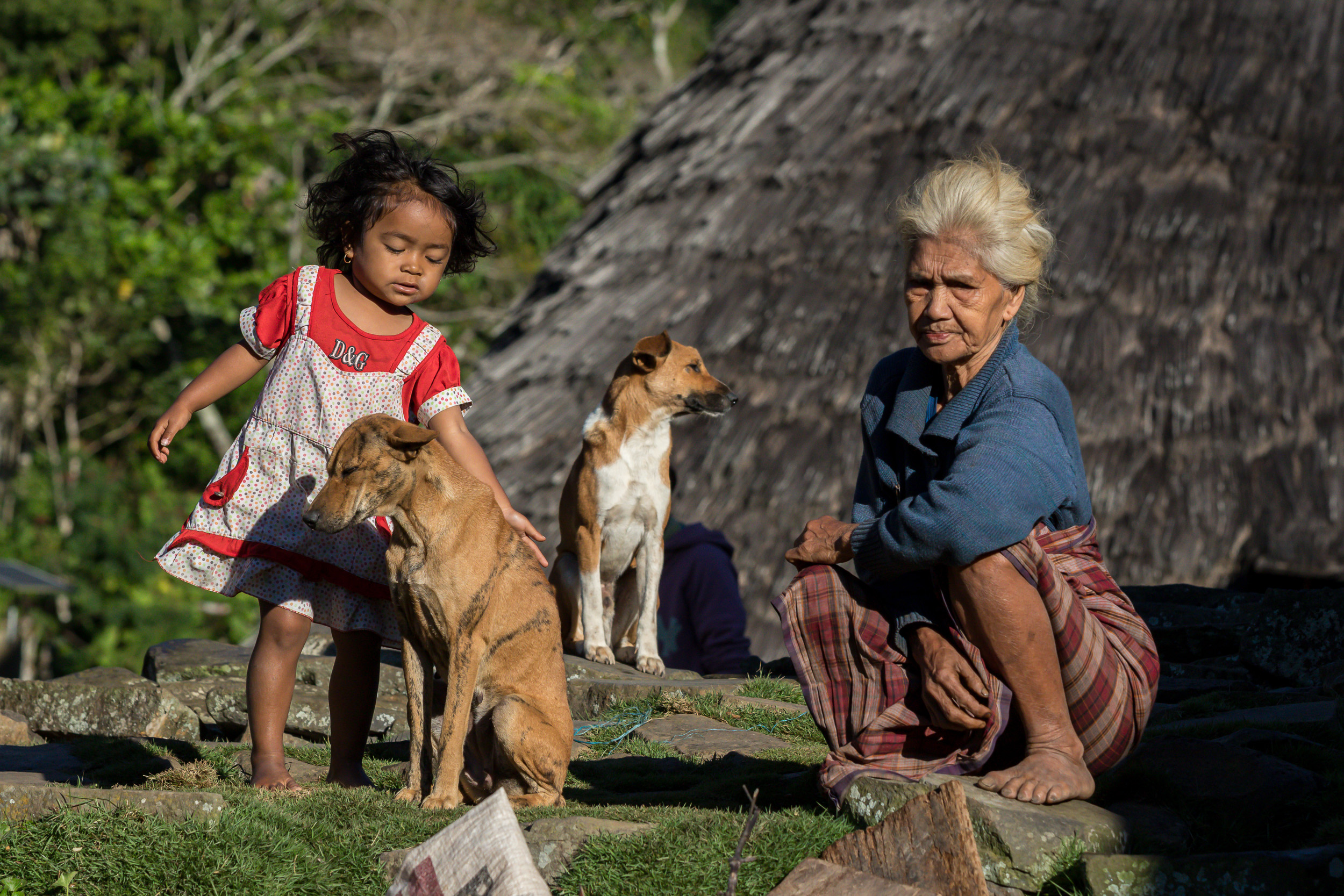 Indonesia, Wae Rebo, flores
