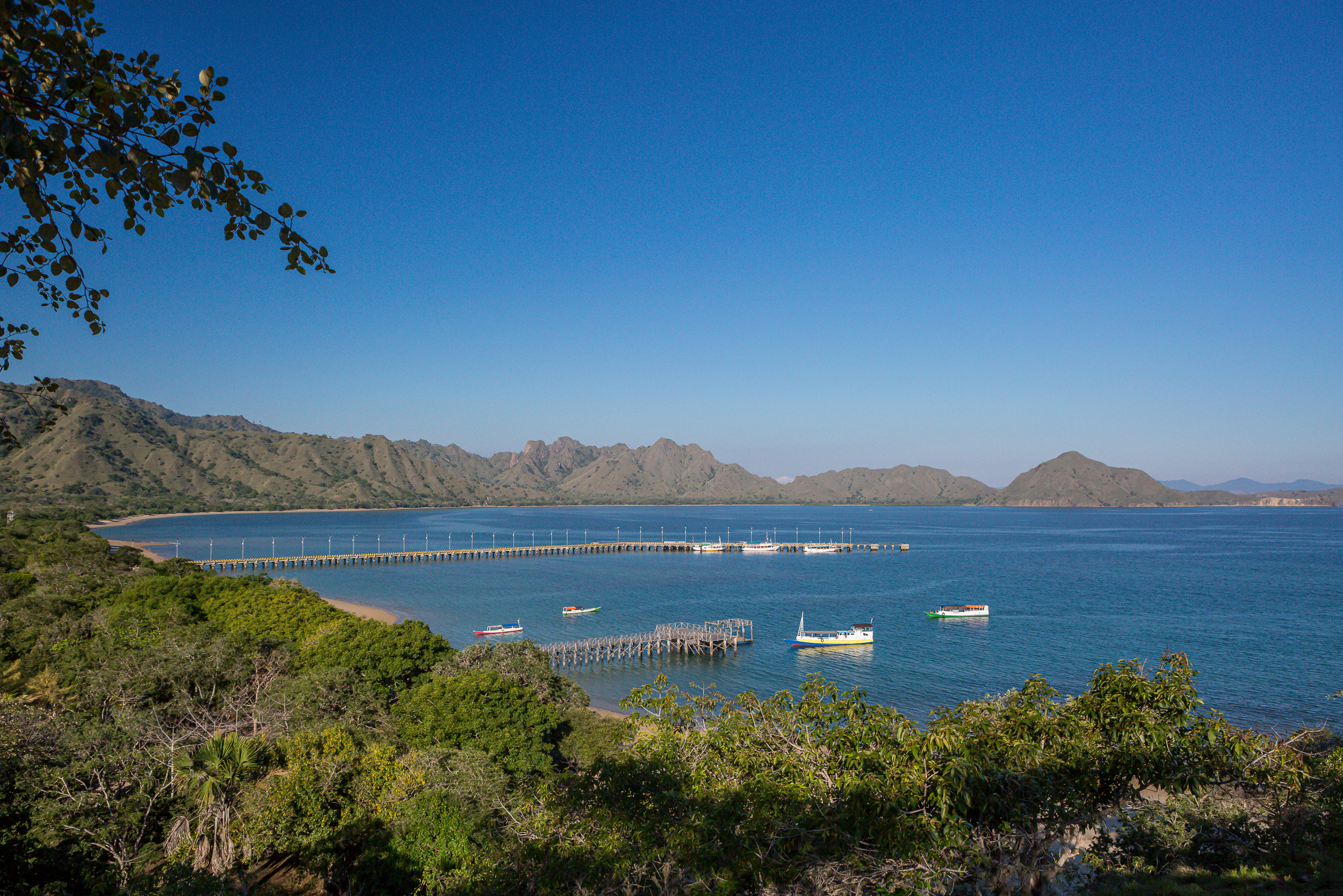 Indonesia, flores, komodo