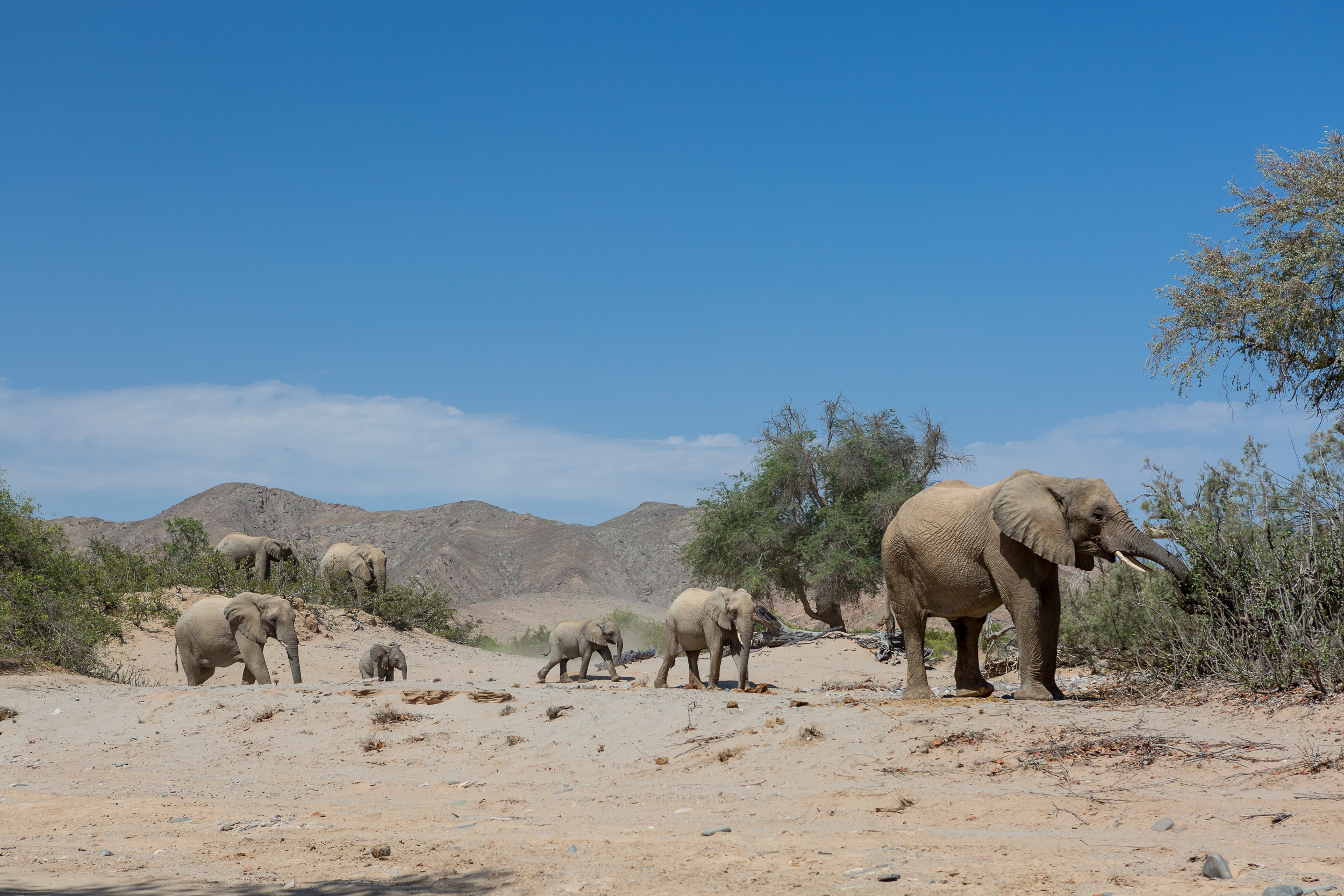 Hoanib, Mega, Namibia
