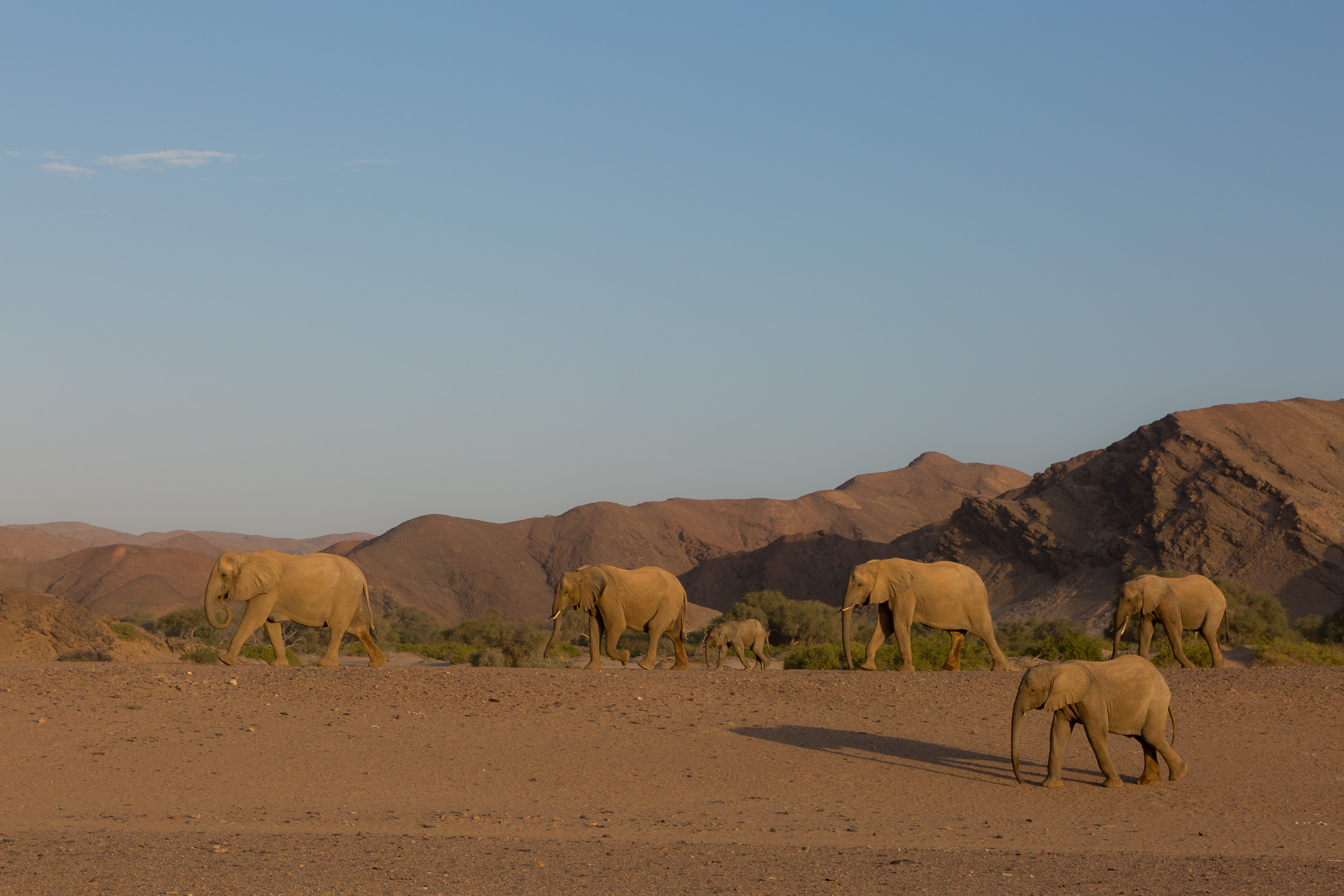 Hoanib, Mega, Namibia