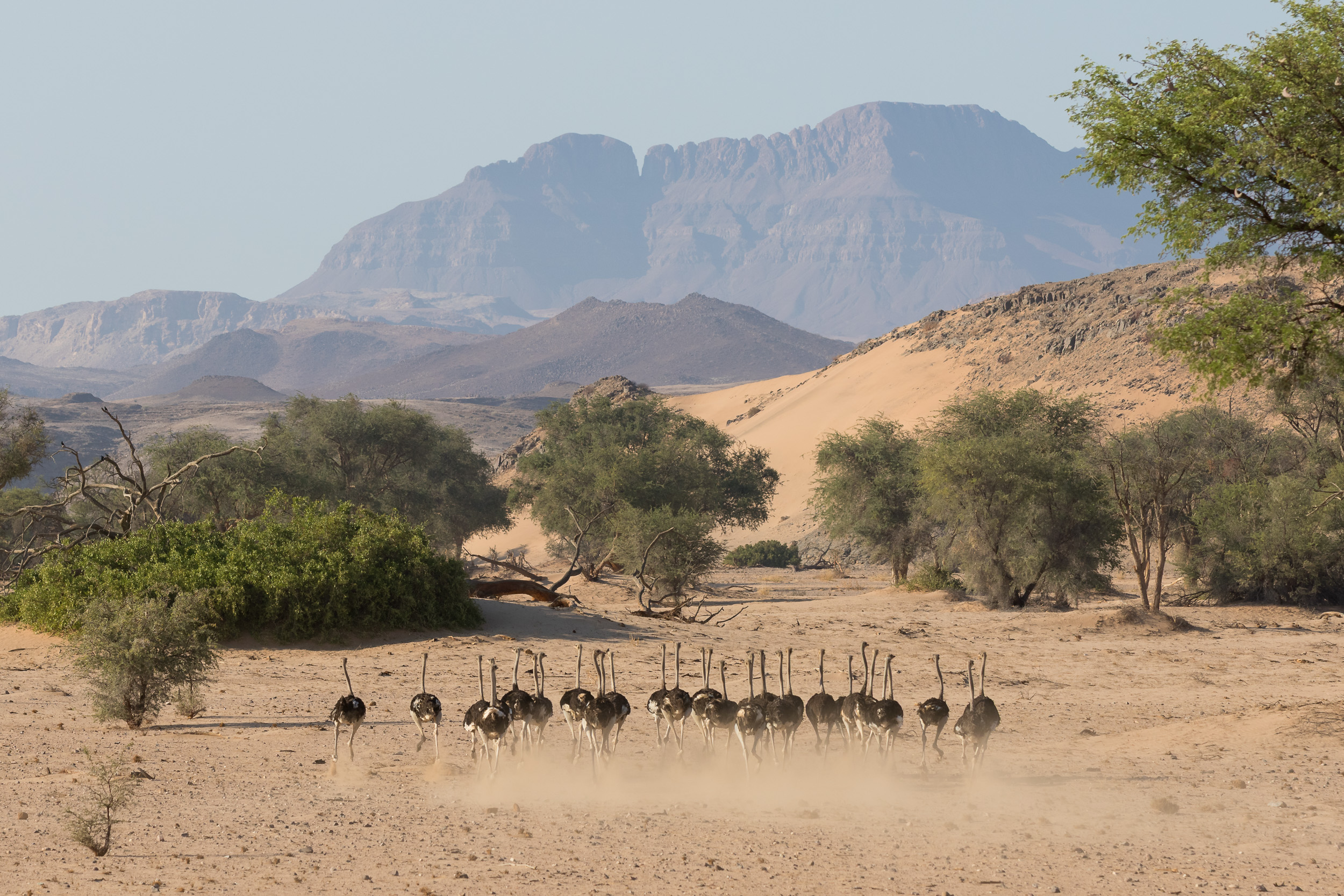 Huab, Mega, Namibia