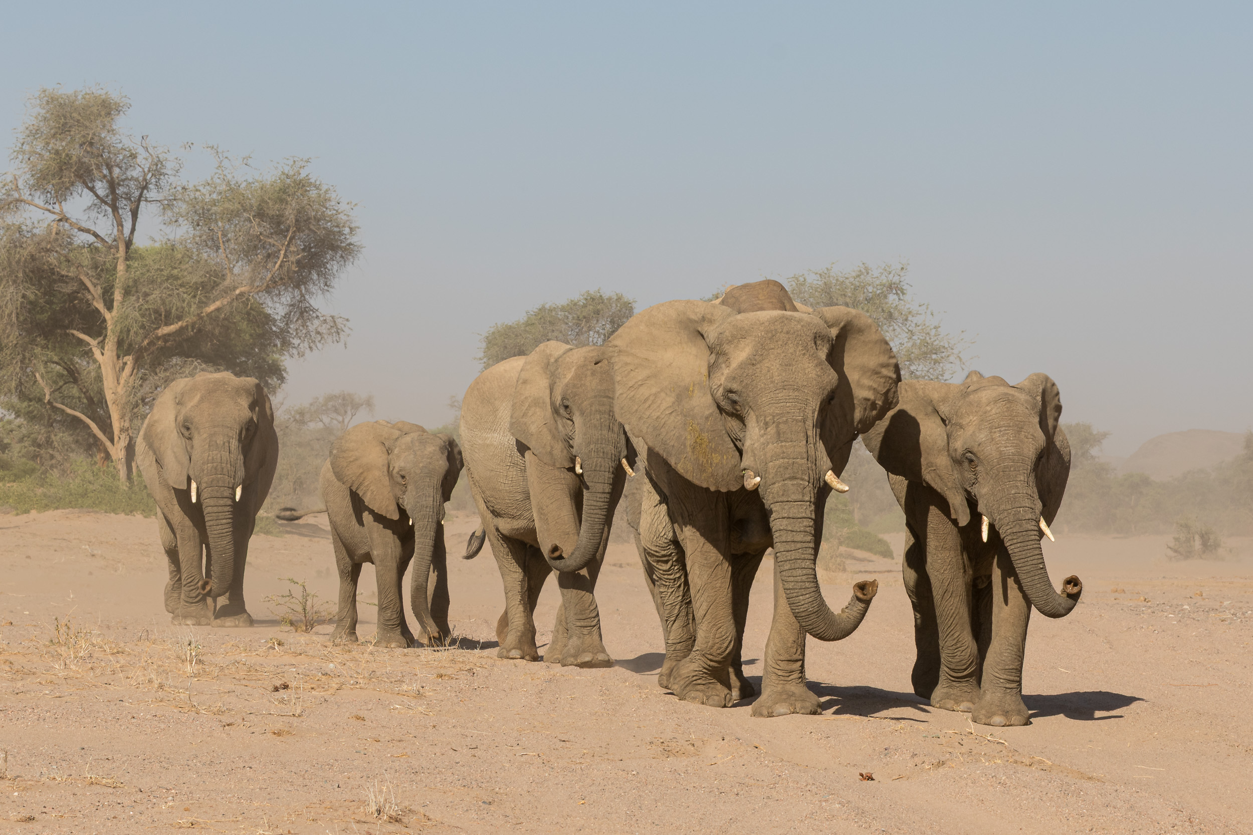 Huab, Mega, Namibia