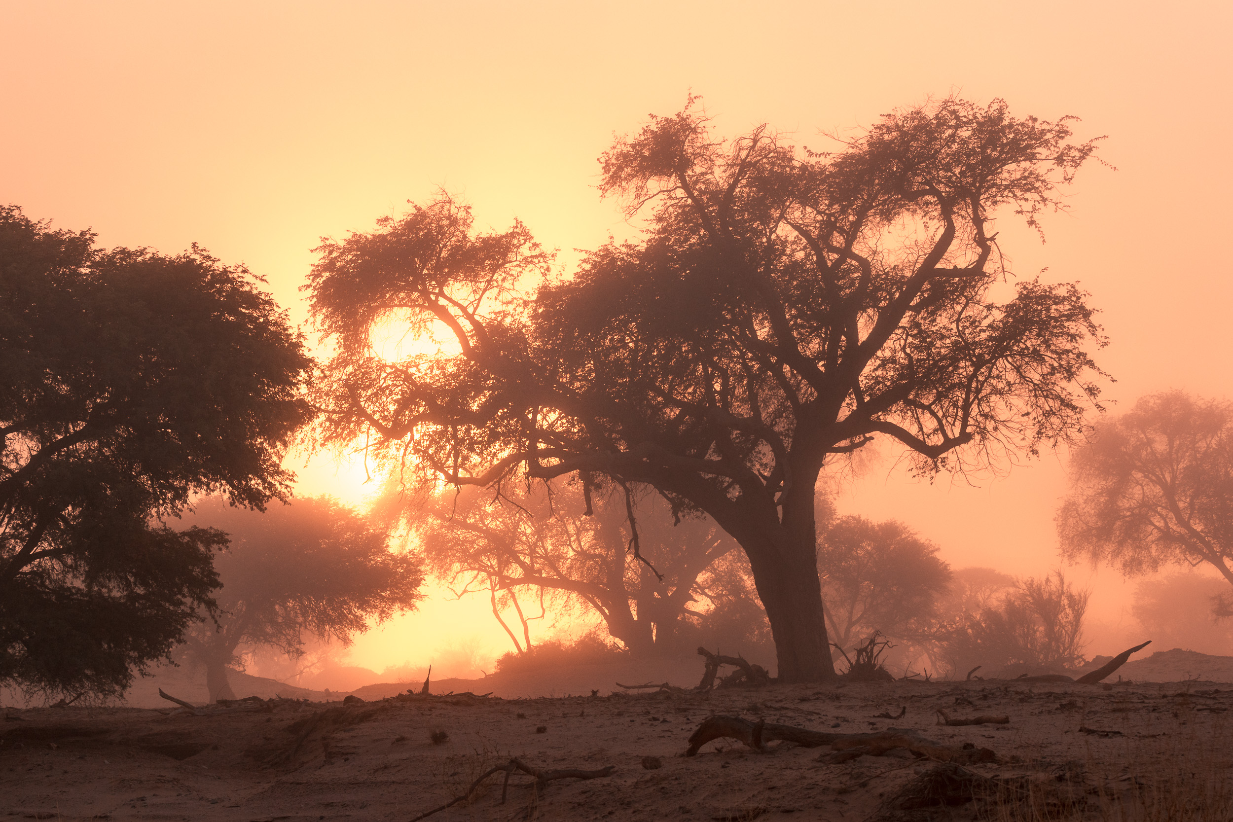 Huab, Mega, Namibia