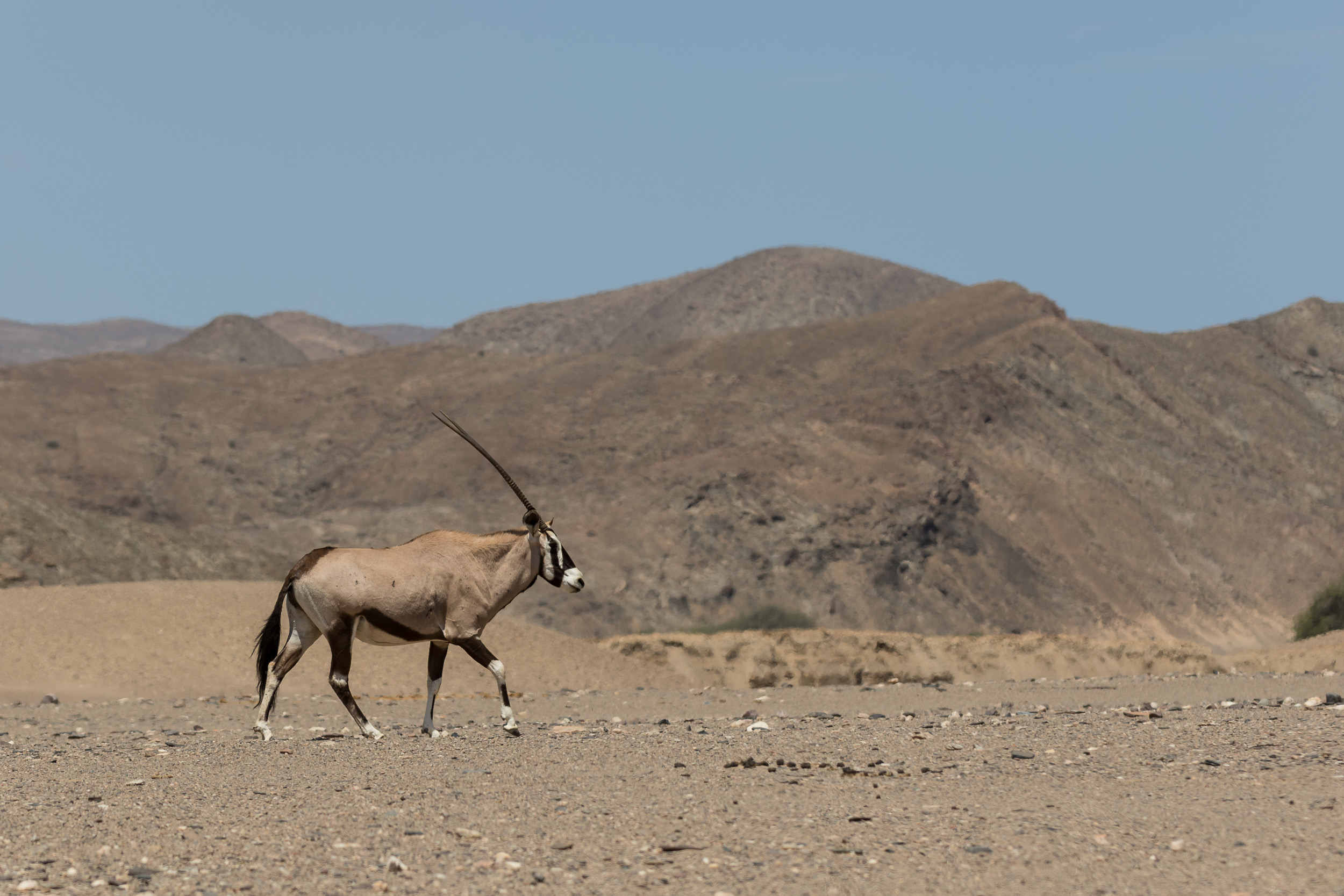 Hoanib, Mega, Namibia