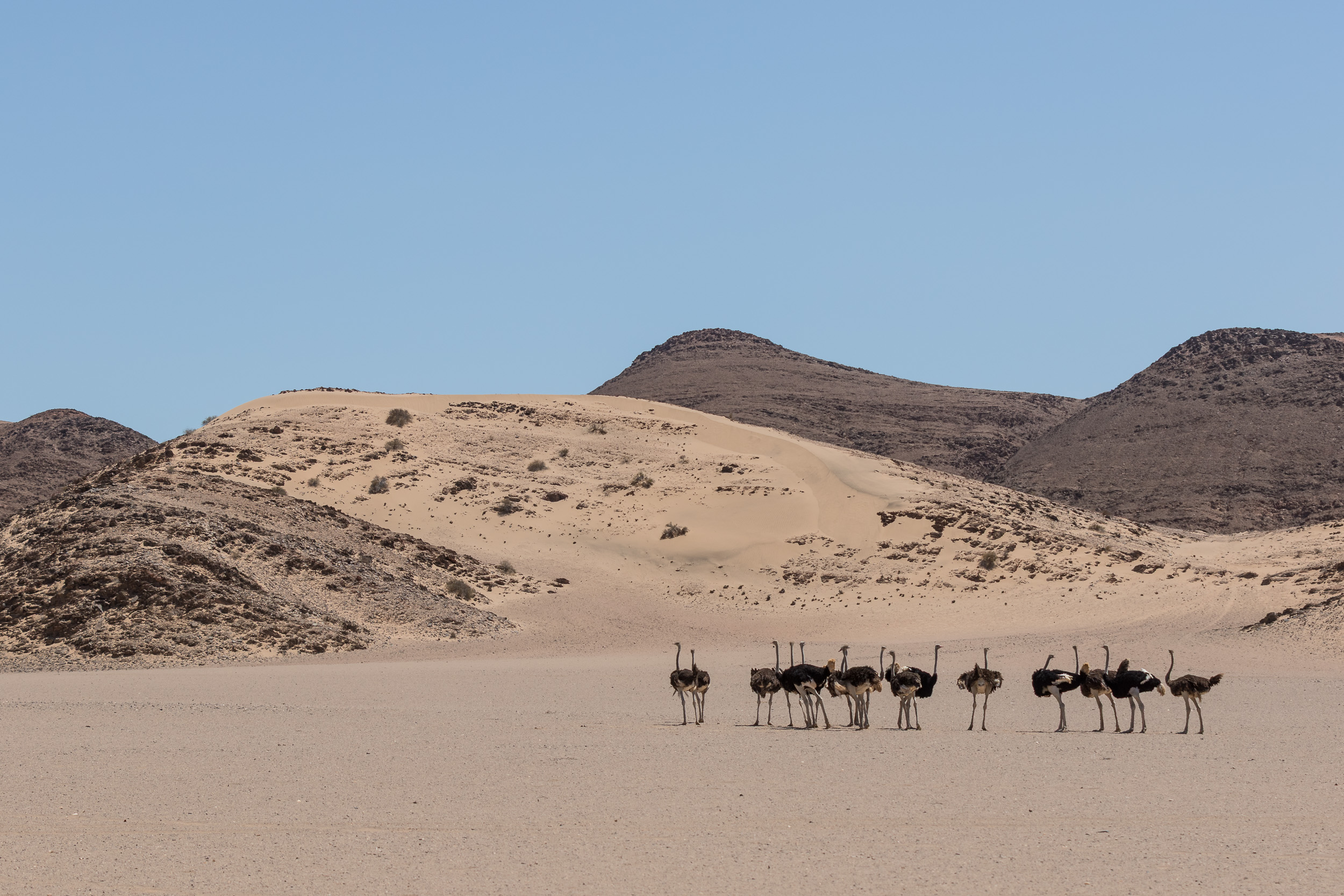 Hoanib, Mega, Namibia
