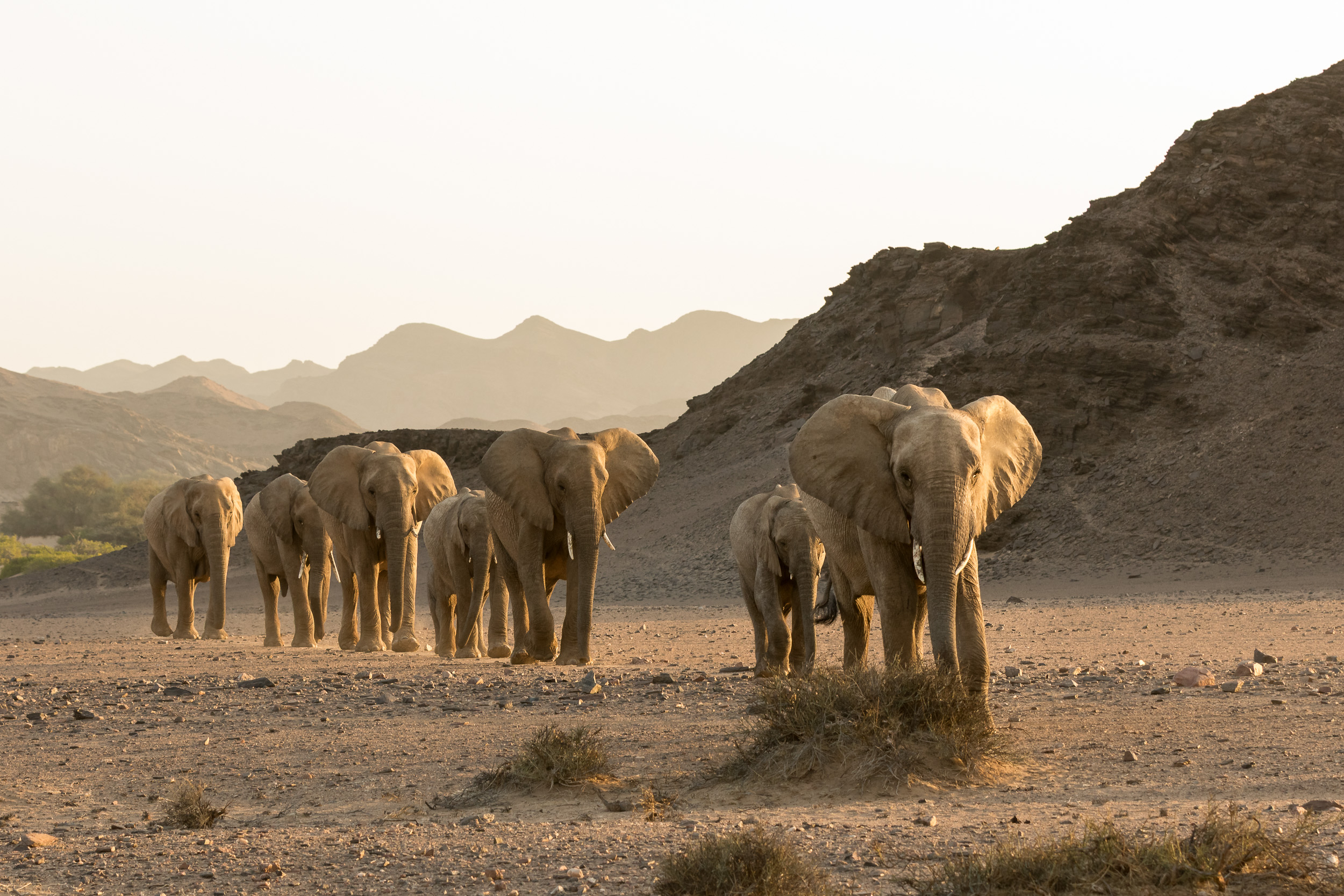 Hoanib, Mega, Namibia