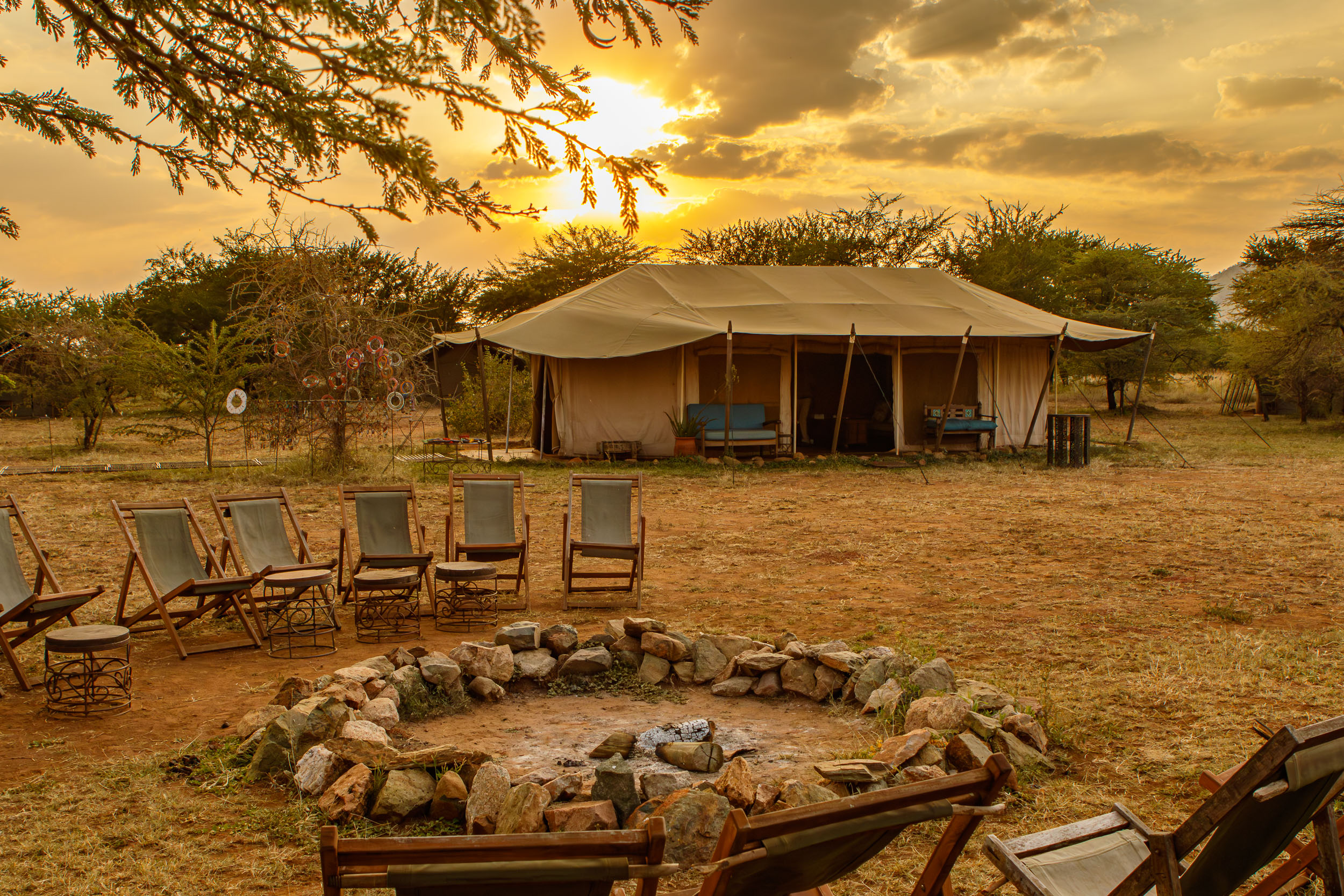 Highlights, Ronjo Camp, Serengeti National Park, Seronera, Tanzania